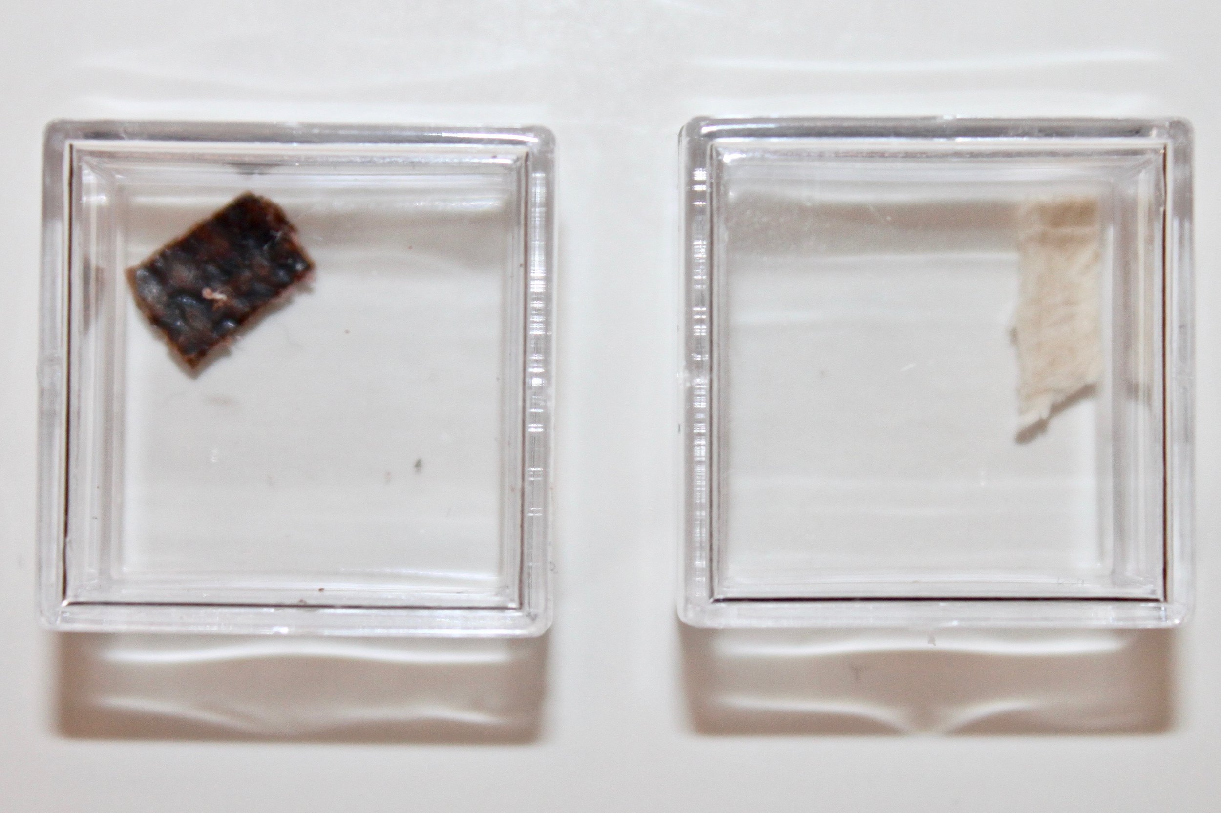 soyuztmq01mfragments1a.jpg