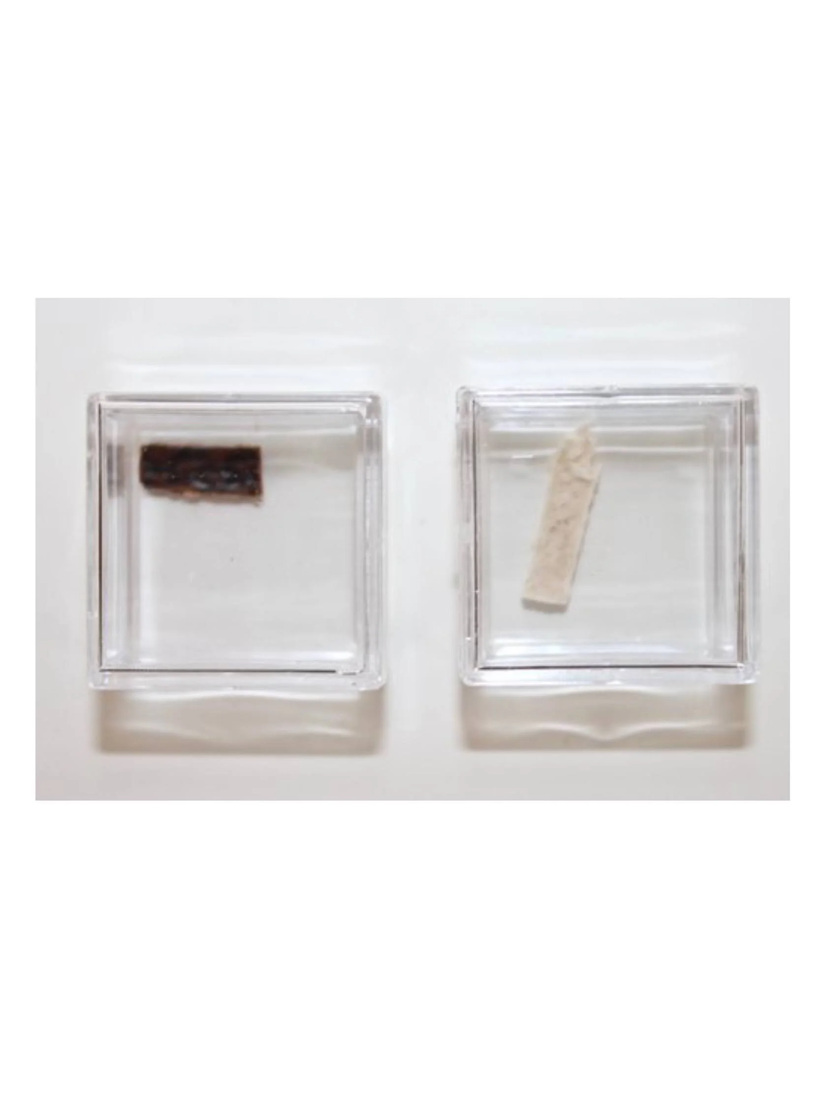 Soyuz TMA-3 Flown Heat Shield Fragments