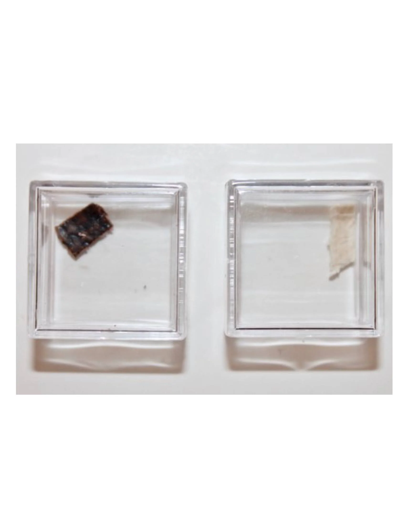 Flown Soyuz TMA-01M Heat Shield Fragments