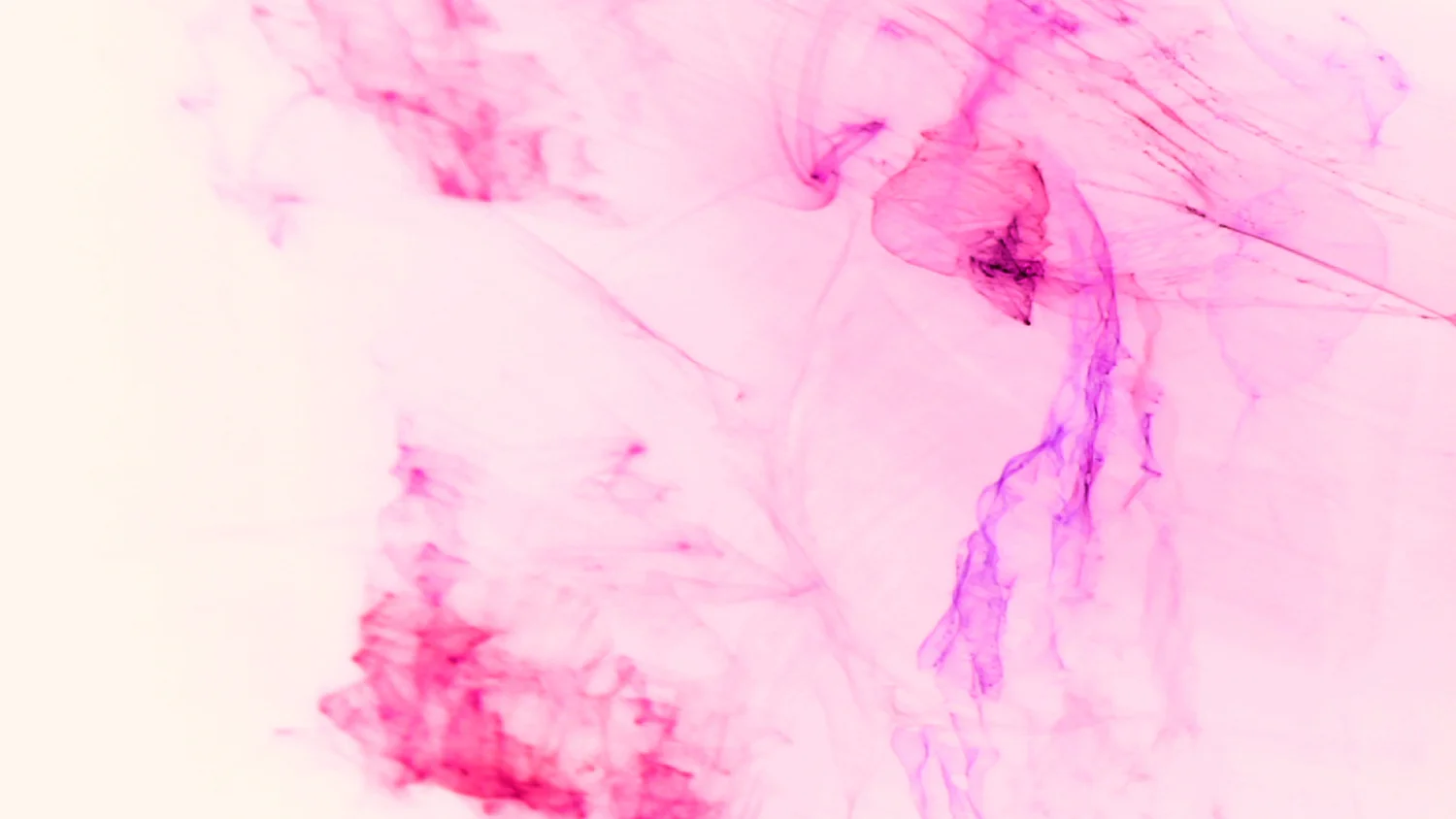 Butterfly Lovers. Video Still. 2011