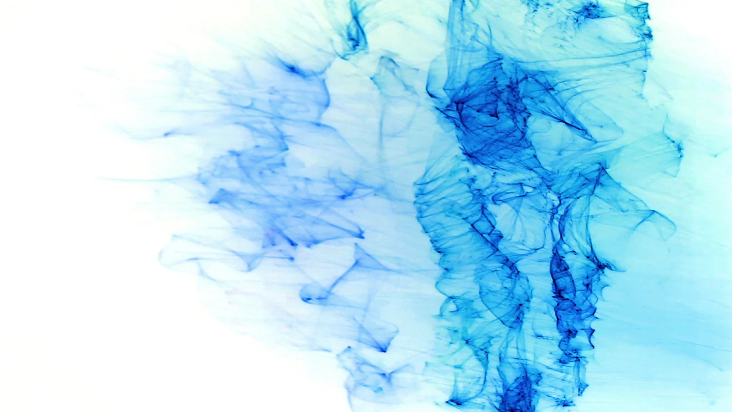 Butterfly Lovers. Video Still. 2011