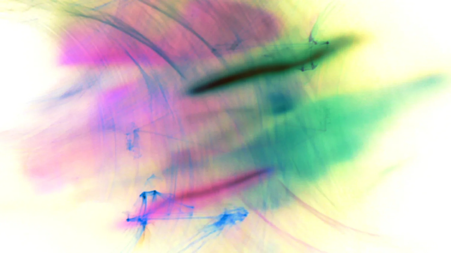 Butterfly Lovers. Video Still. 2011