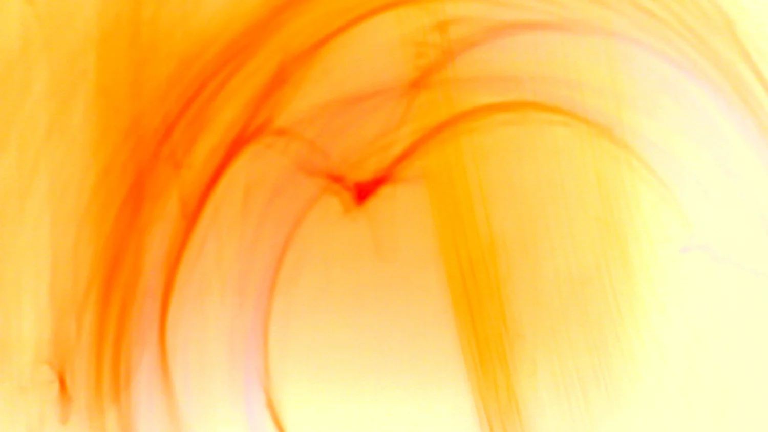 Butterfly Lovers. Video Still. 2011