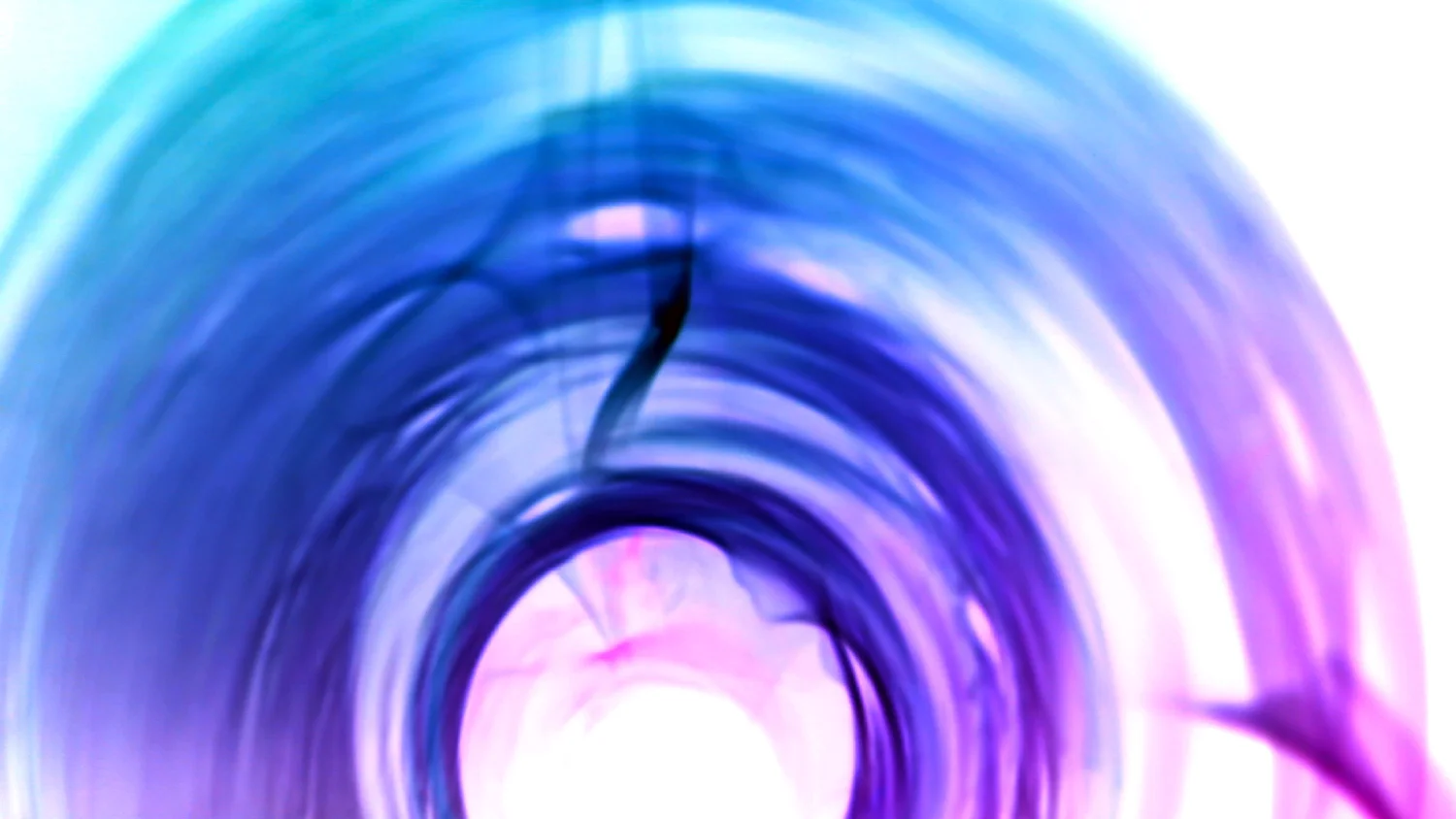 Butterfly Lovers. Video Still. 2011