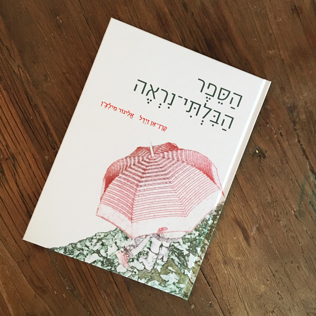 THE INVISIBLE BOOK