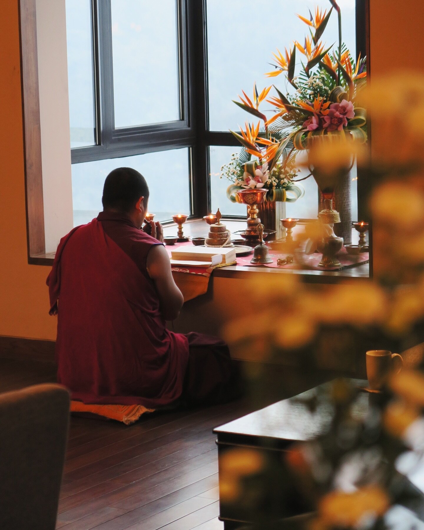 Dude this hotel comes with a daily monk 🕊️