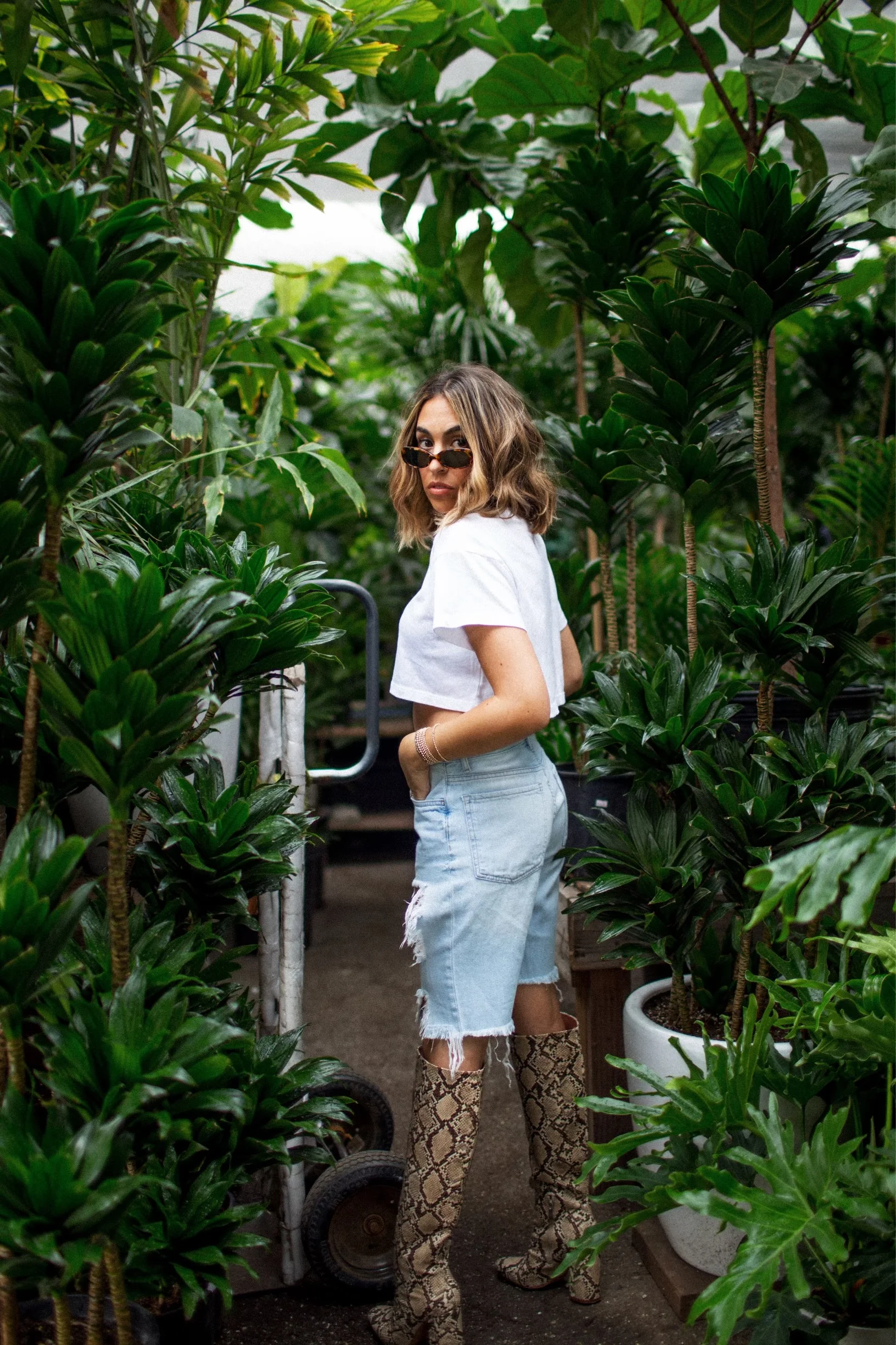 Farewell Short Shorts