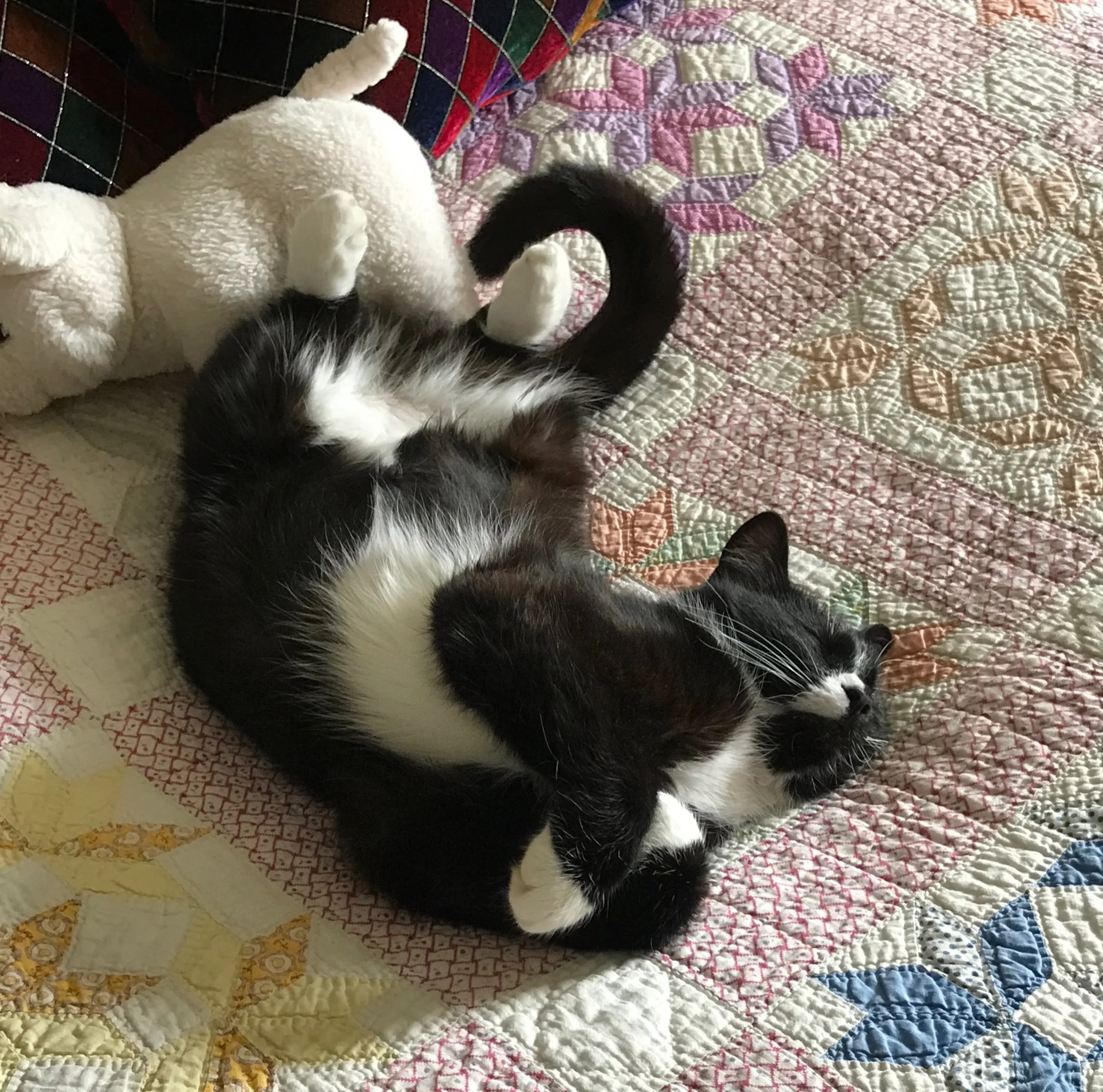 Housemates Remembered