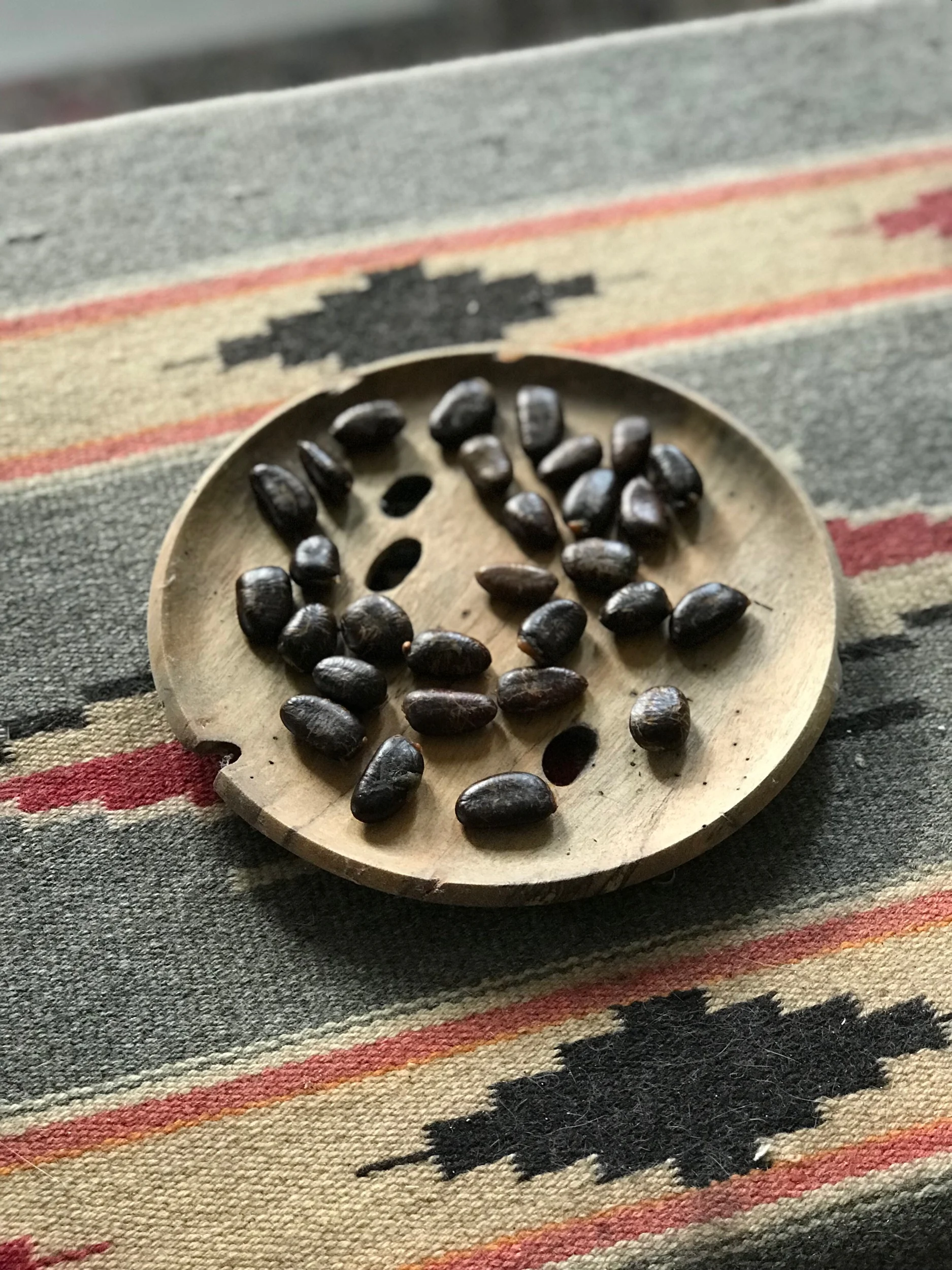 Of Monarchs and Pawpaws