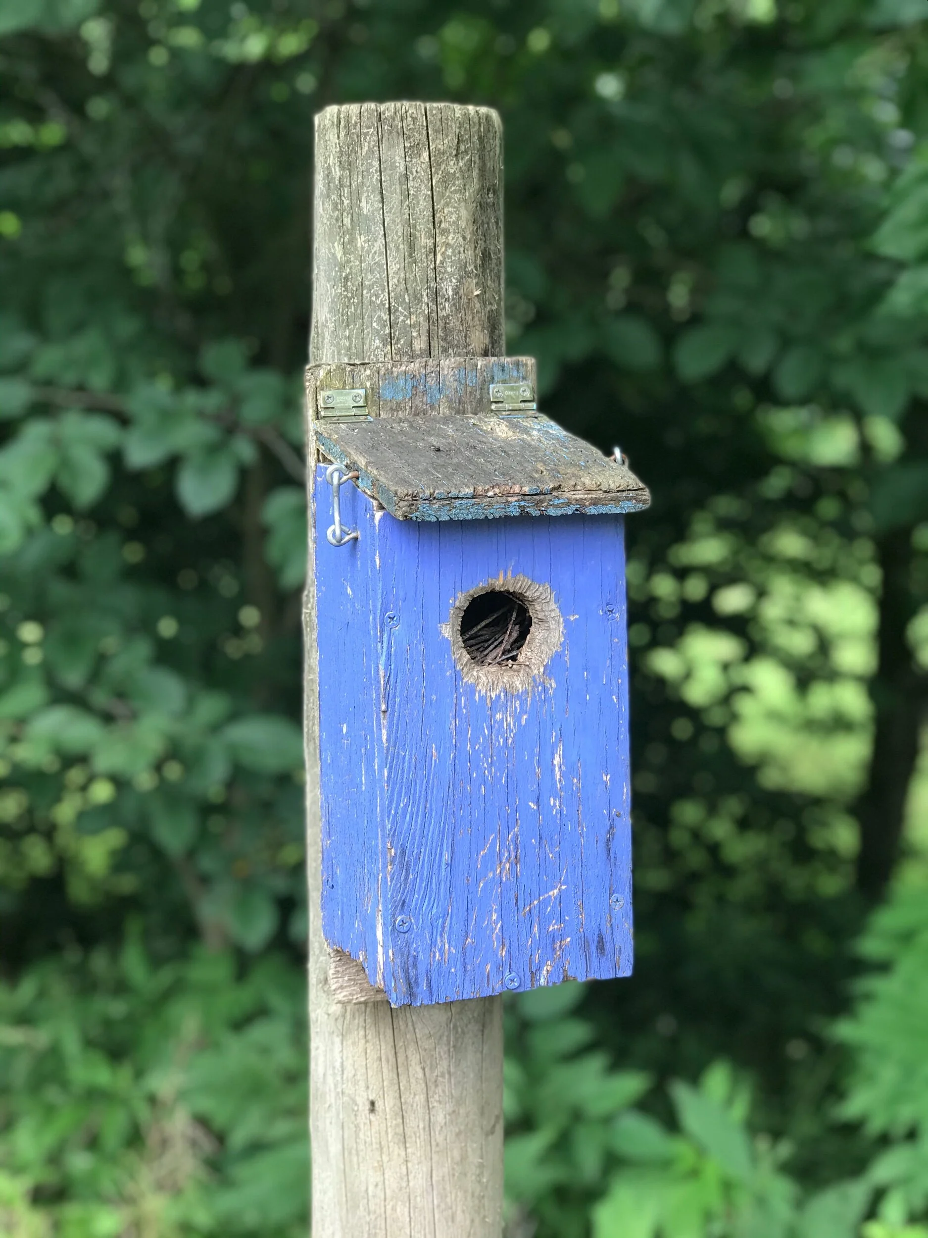 Last Stars, First Birds