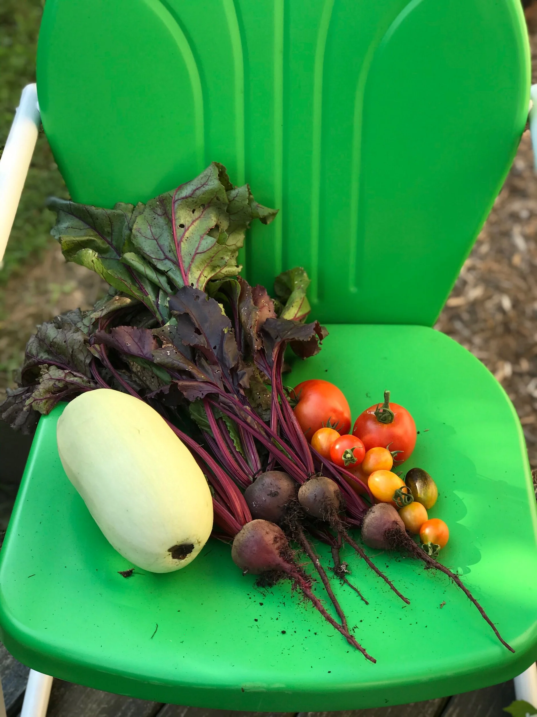 The Long View, in Both Directions