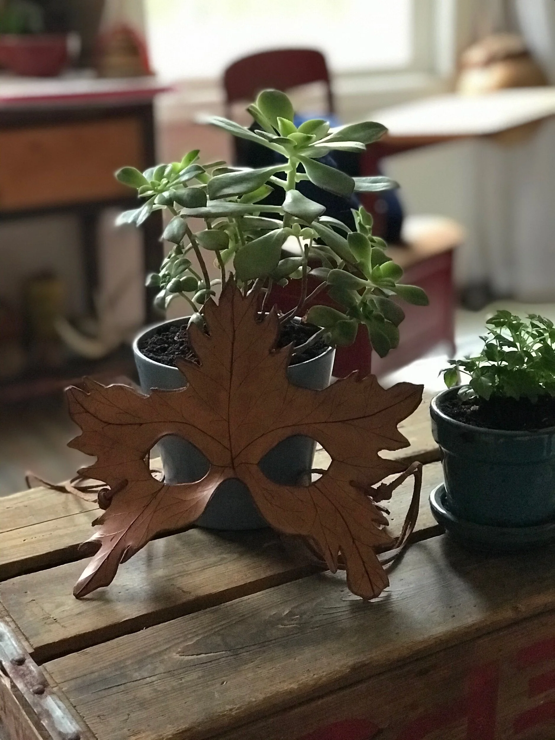 What the Leaves Know