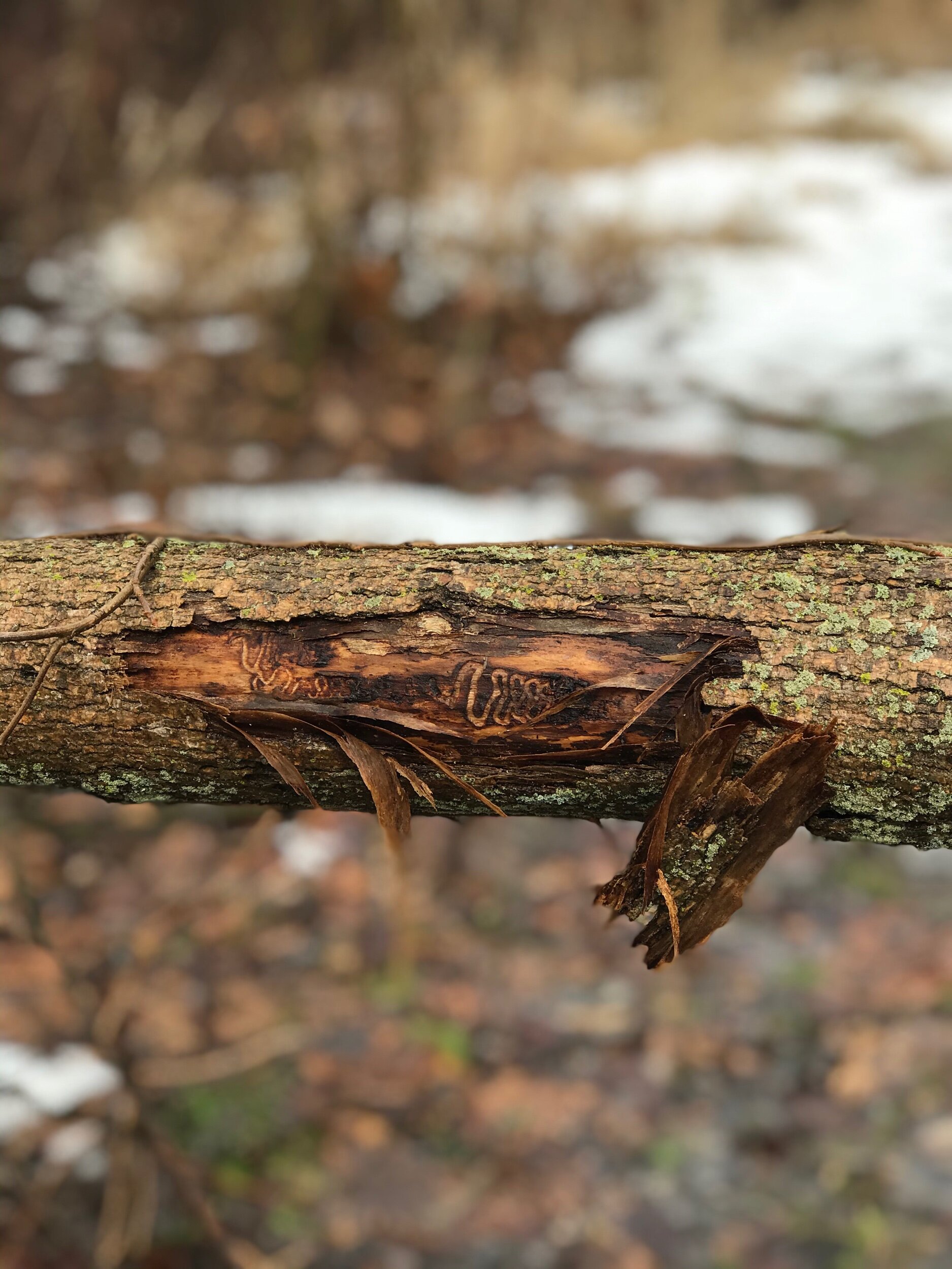 The Season of "Almost There"