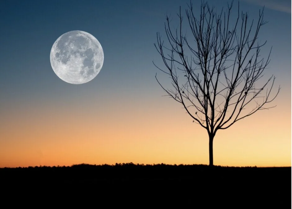 All Aboard the Five-Seven-Five