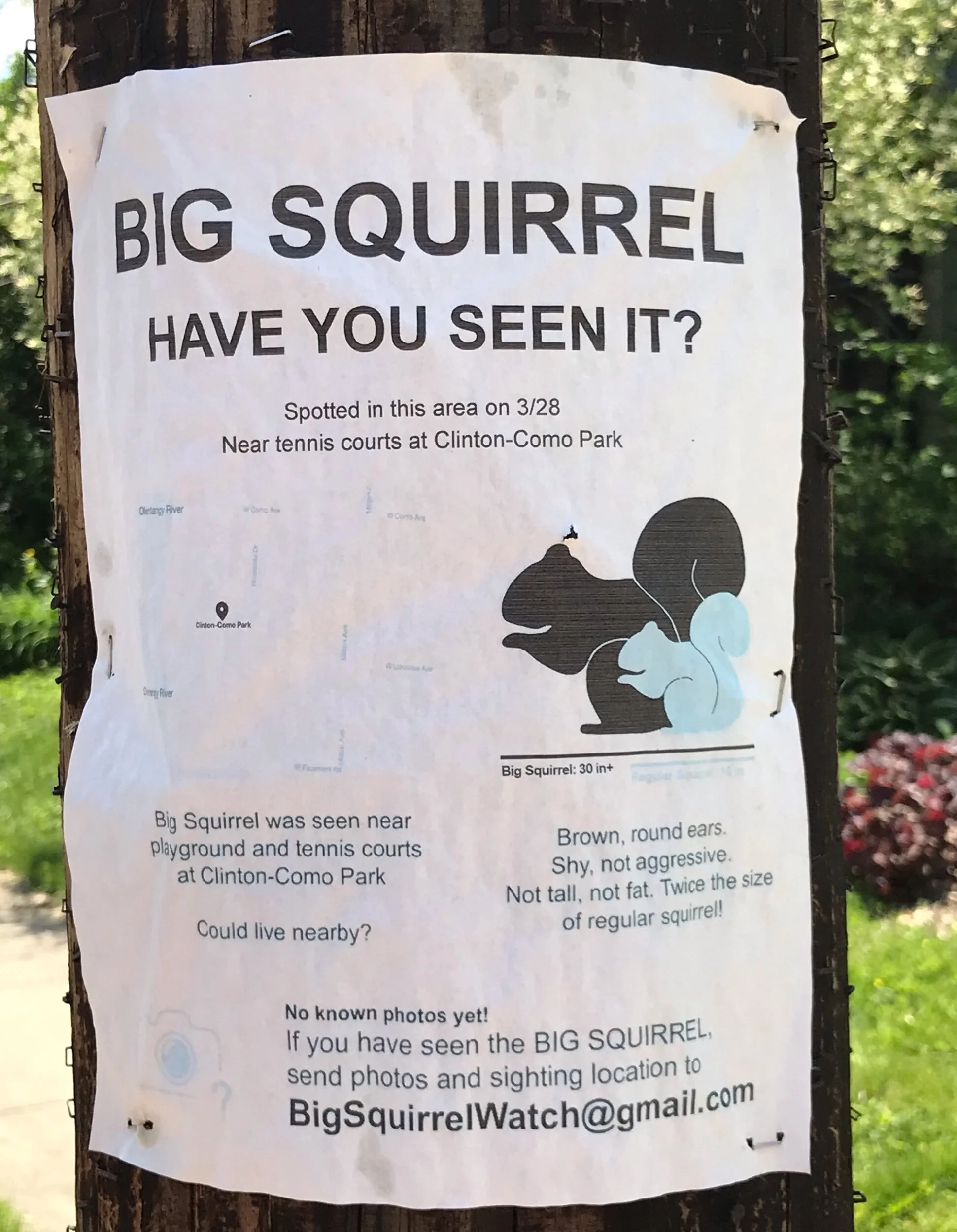 The Tall Grass Can Wait