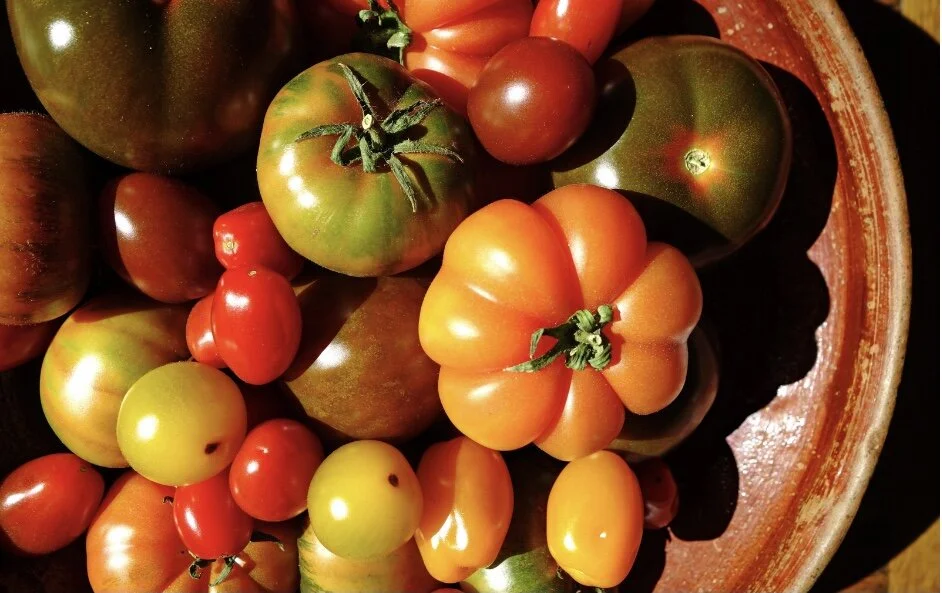 Abundance