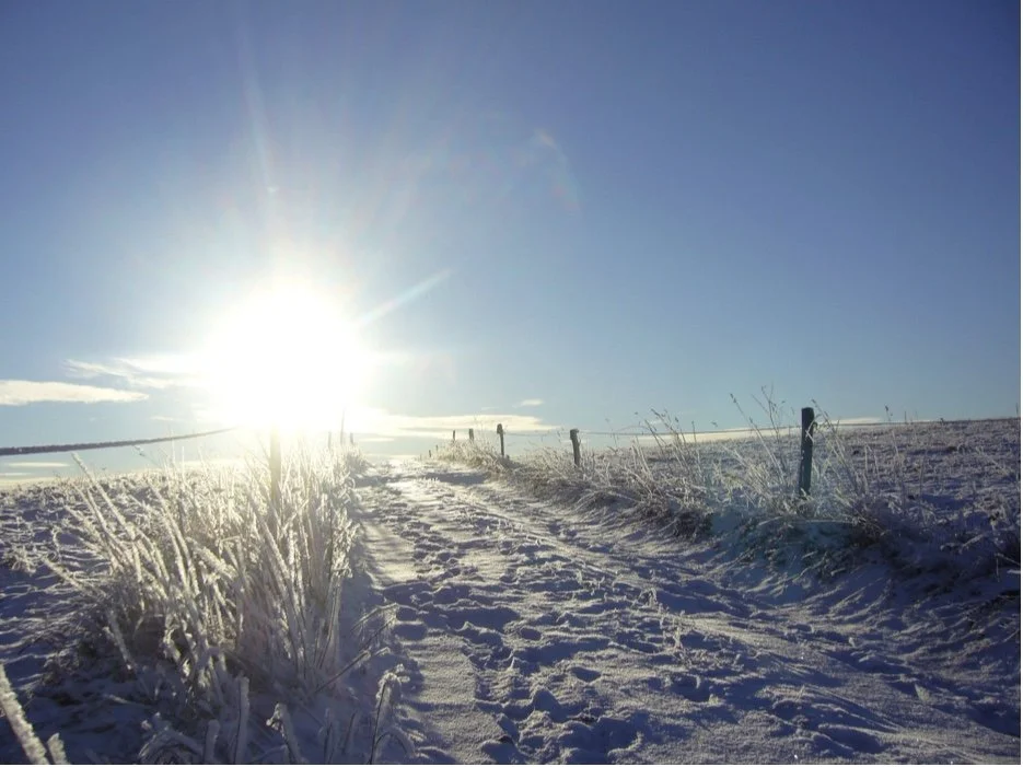 Grace for the Season