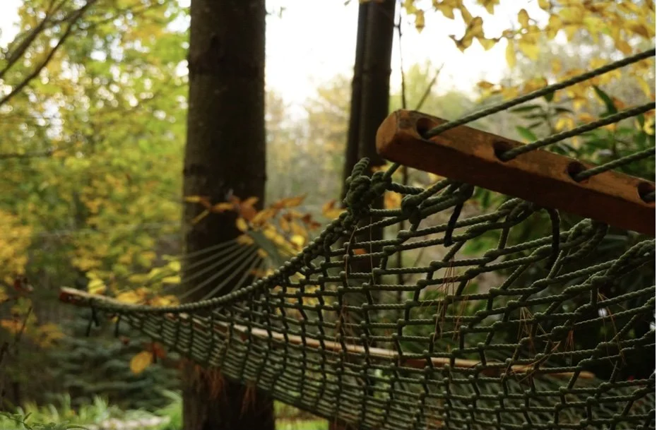 The Relentless Pursuit of Stillness