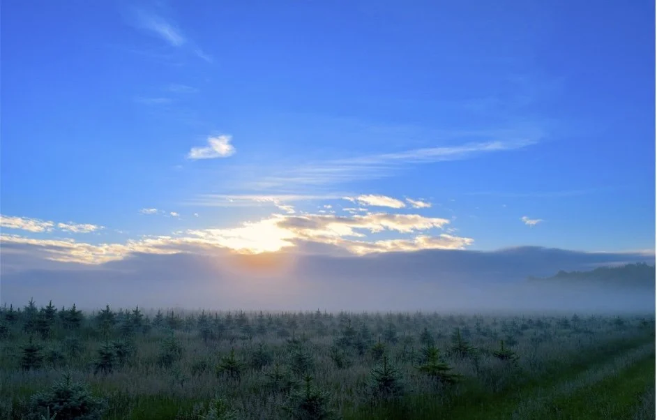 Sunrise