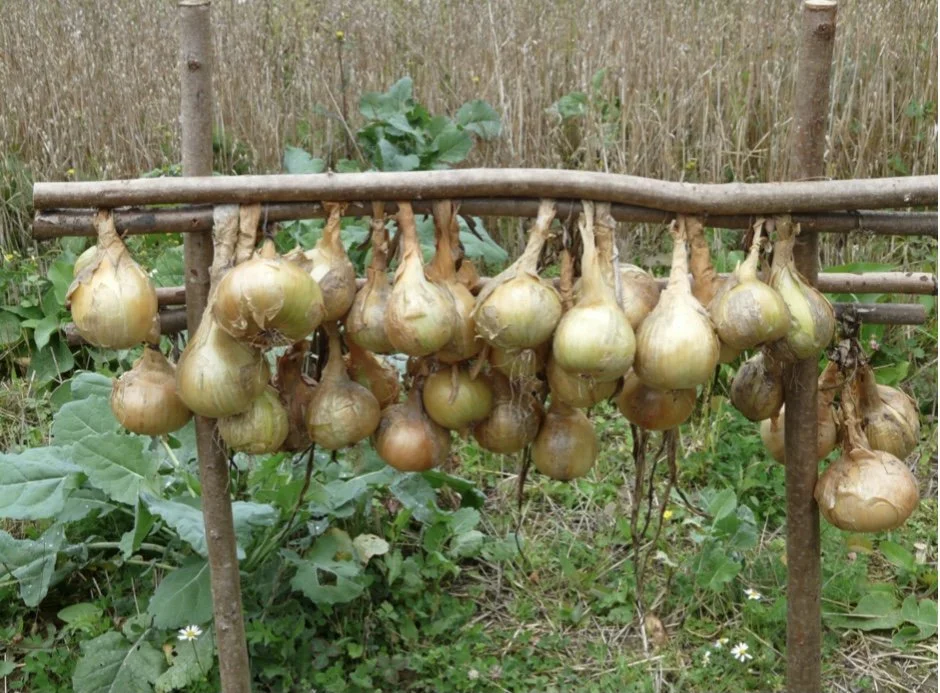 The Little Stuff (that ain't little at all)