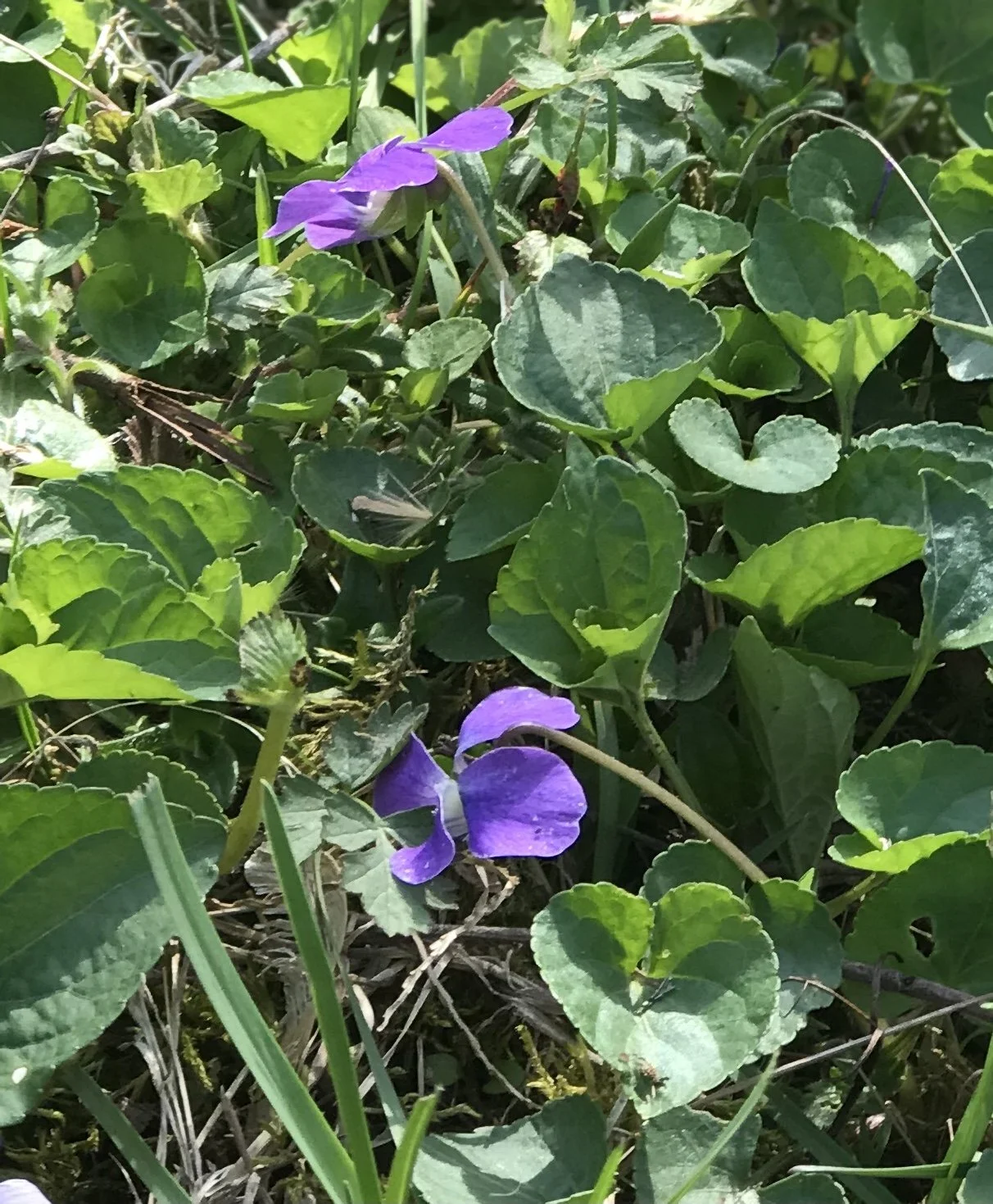 Once in a Lifetime. So Far.