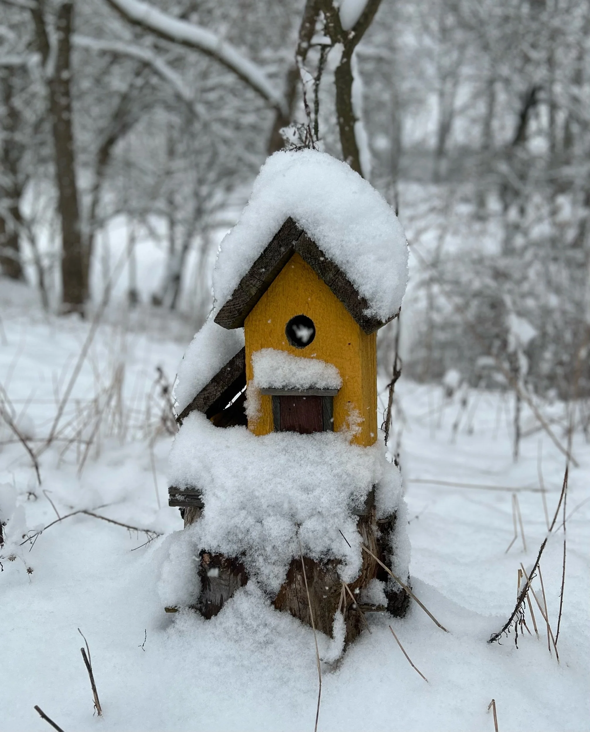 Winter Again, Winter Still