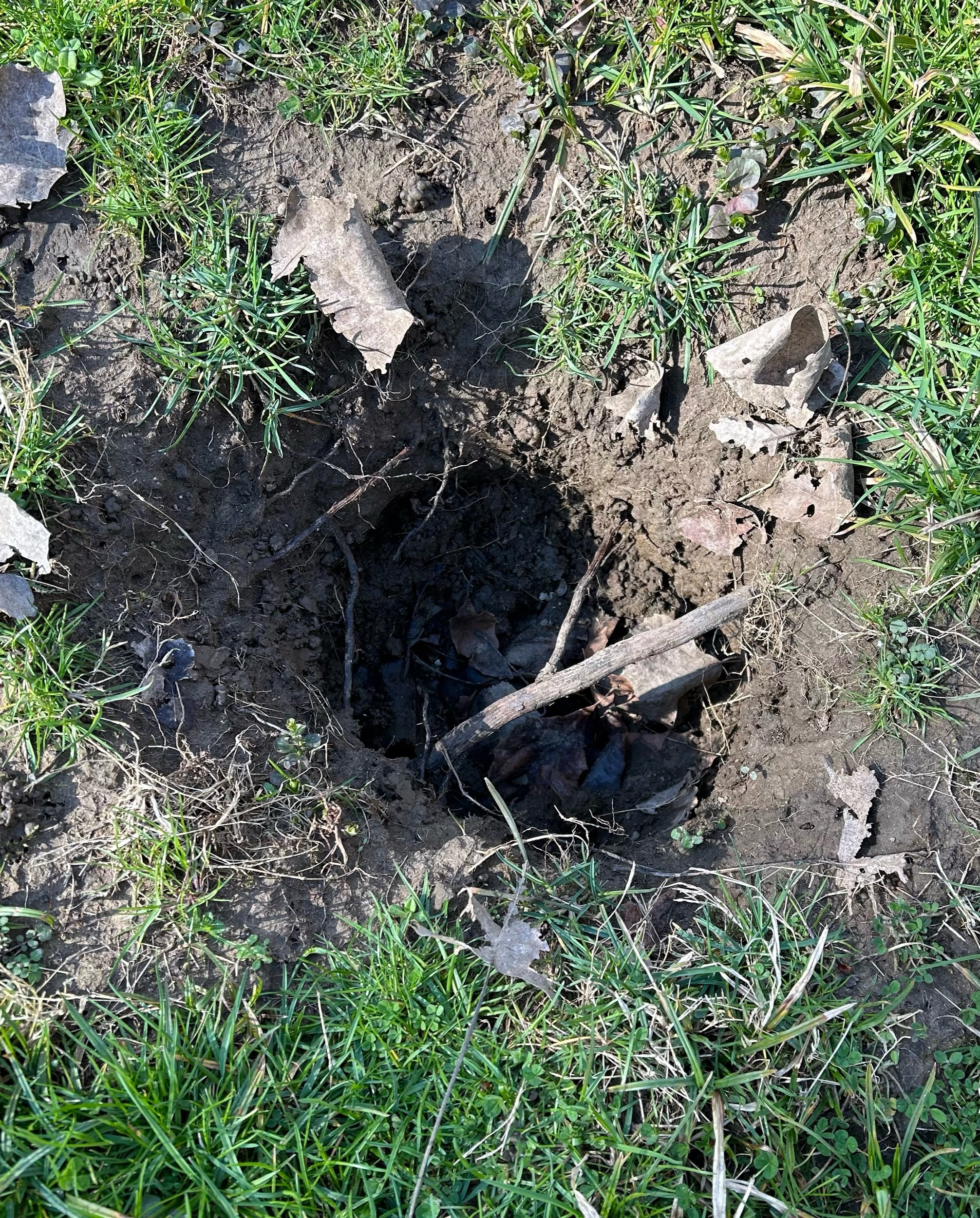 In the Presence Of...