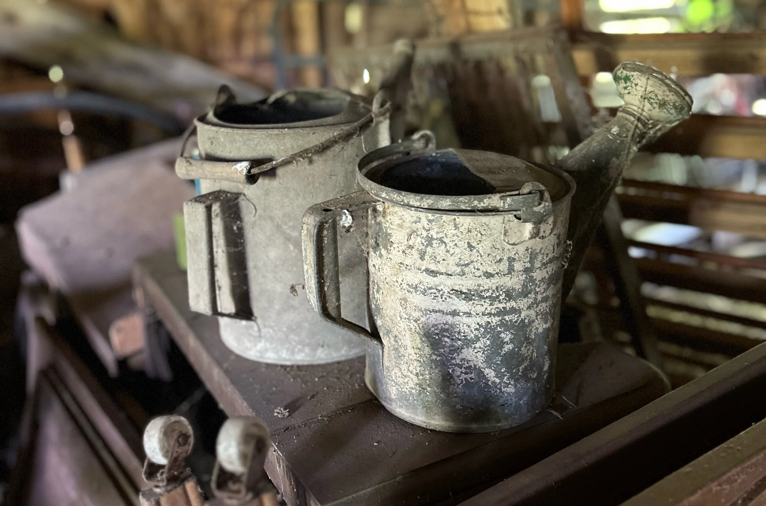 The Rich and Storied Life of Things