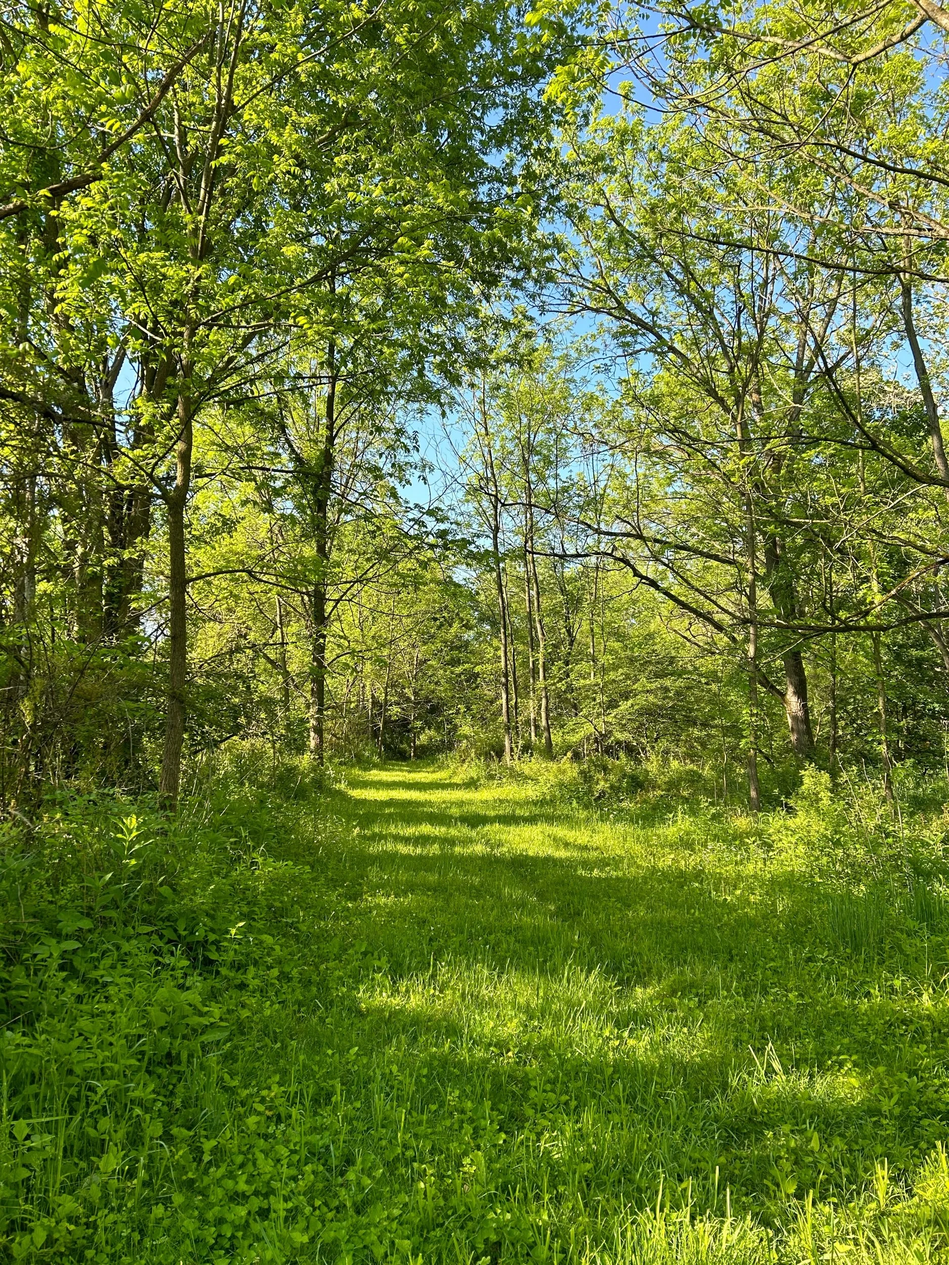 Strangely Reassuring 