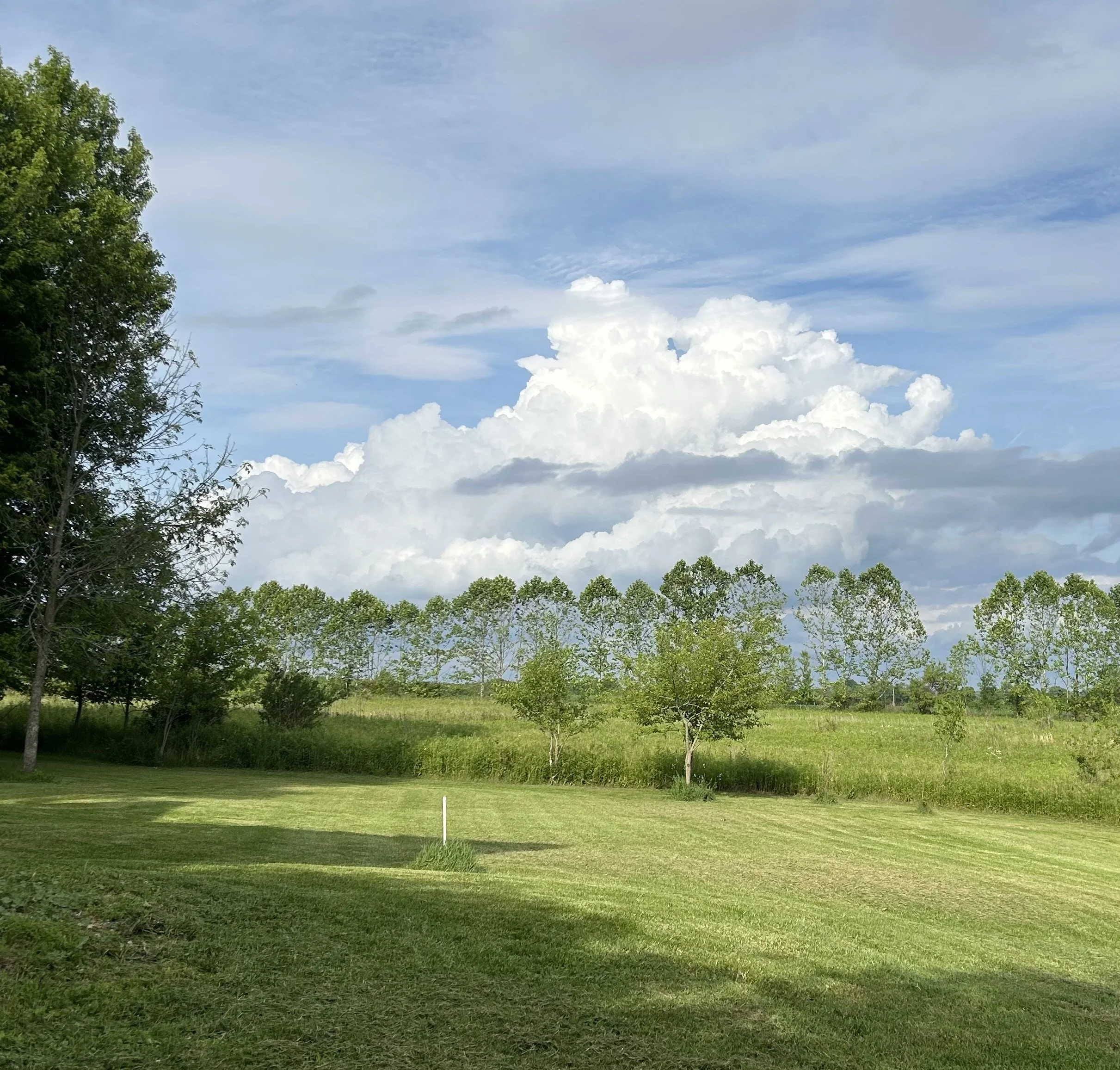 This Is Where I Live