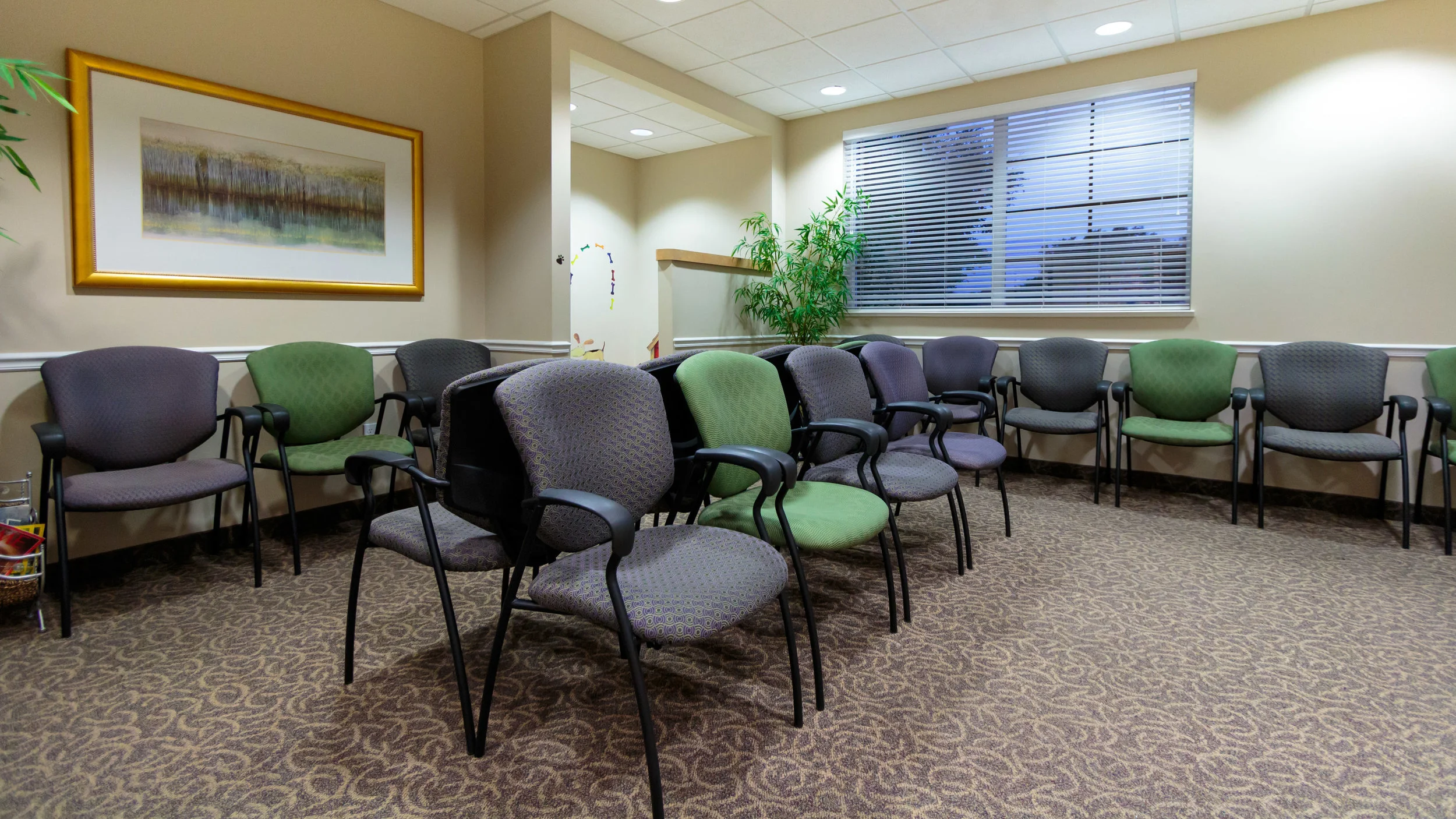 Ruso Orthodontics Braces and Invisalign Melbourne, FL