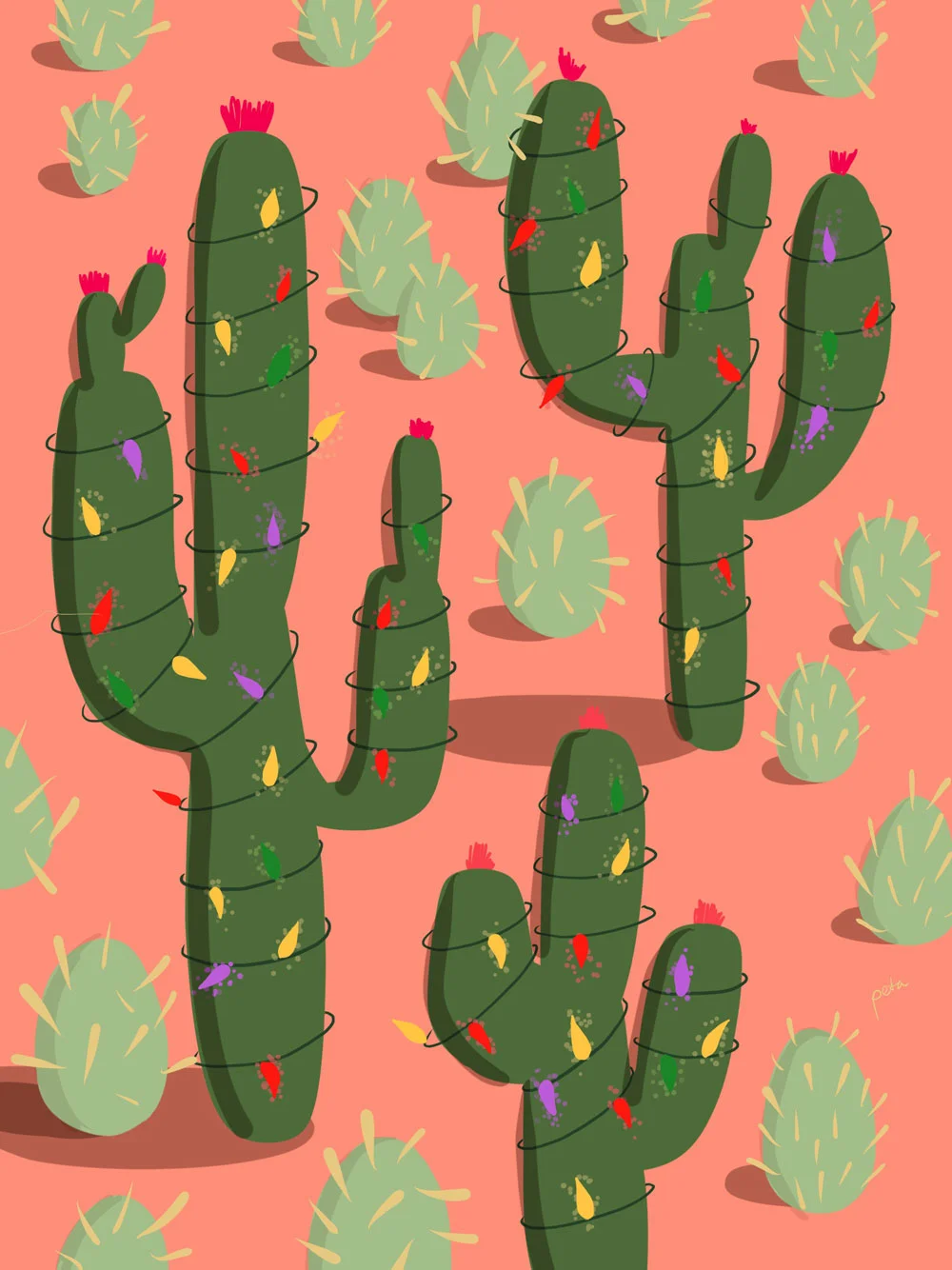 Cactus.jpg
