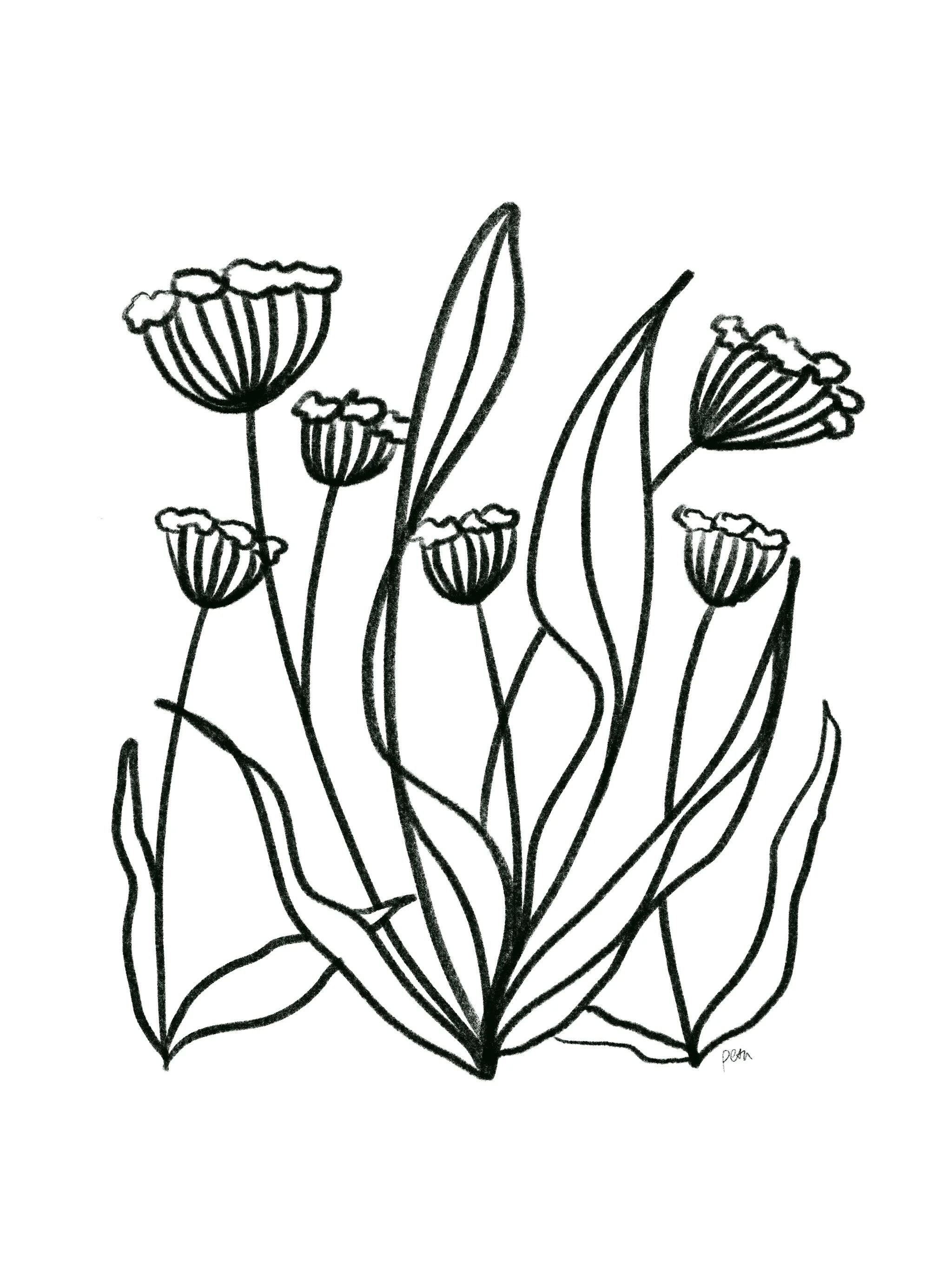 Flowers.JPG
