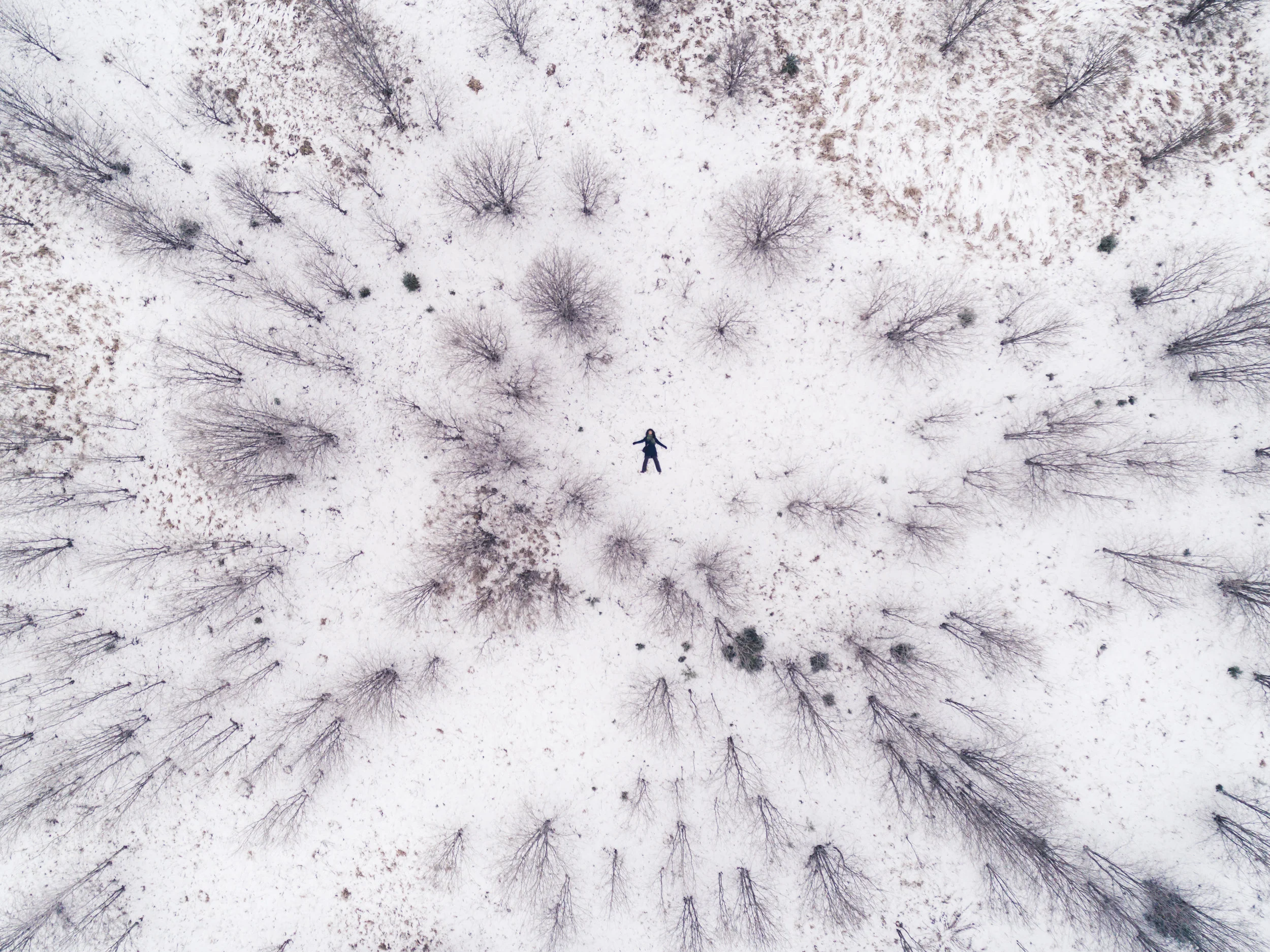 DJI_0549.jpg