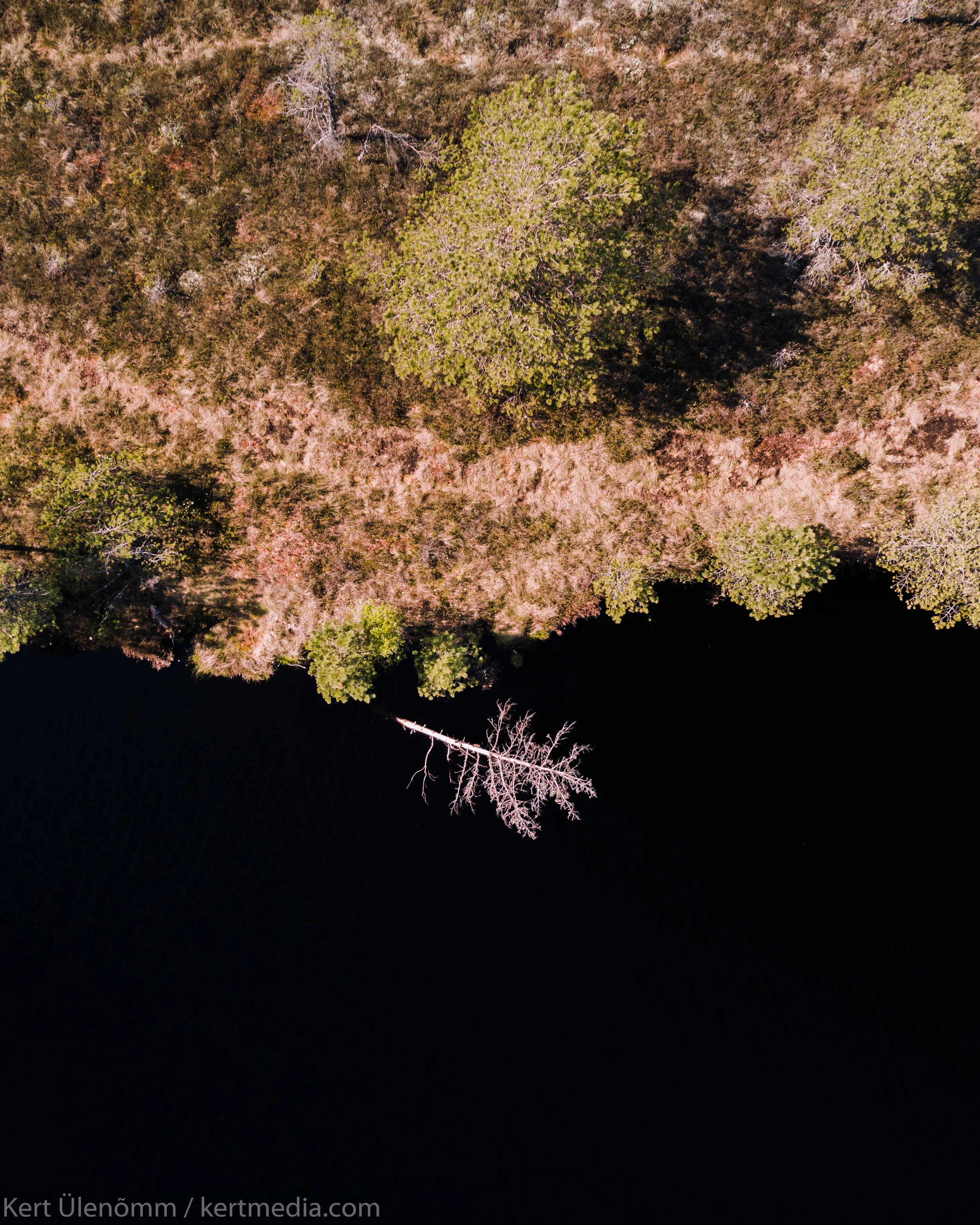 DJI_0154.jpg