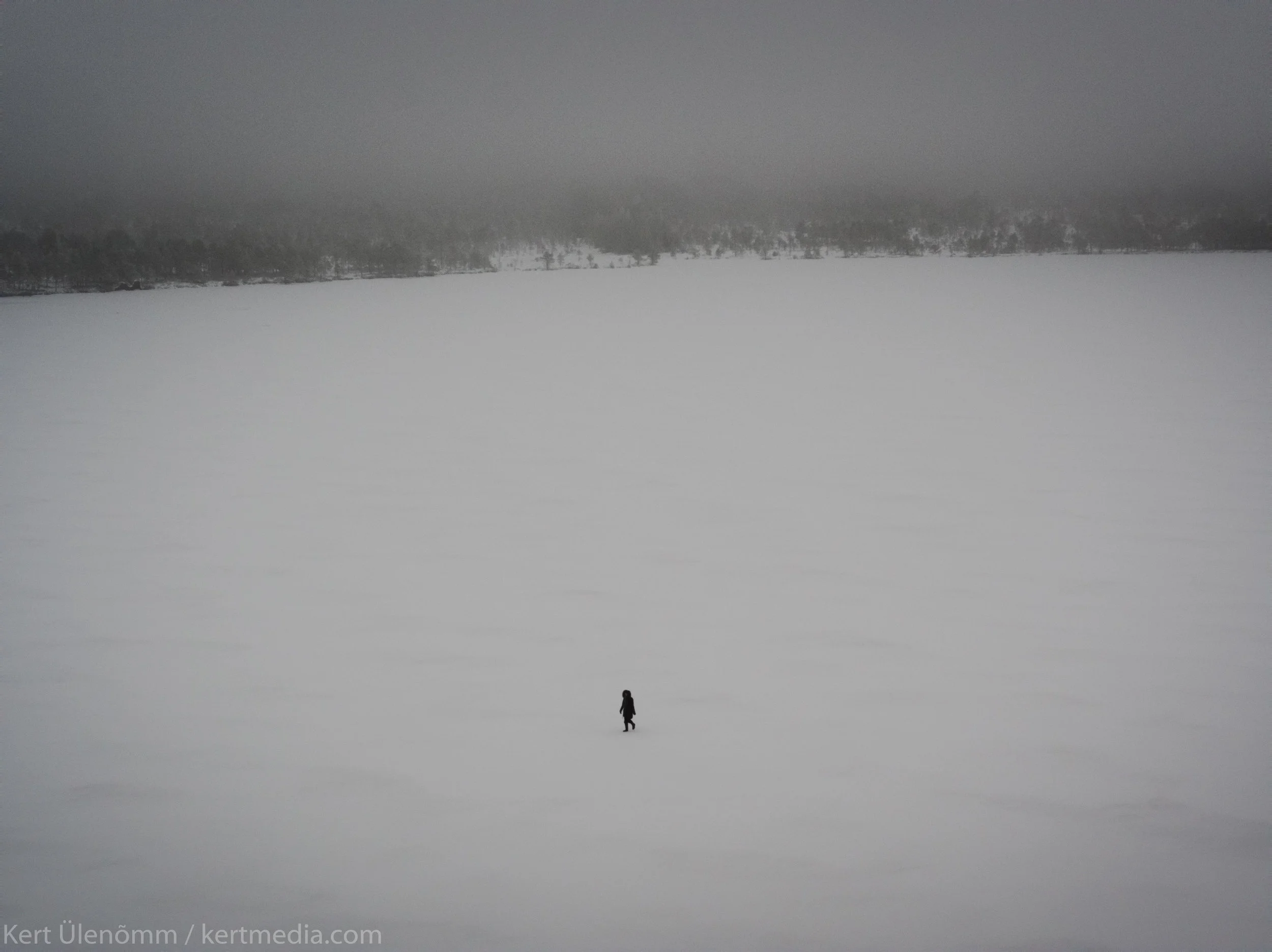 DJI_0803.jpg