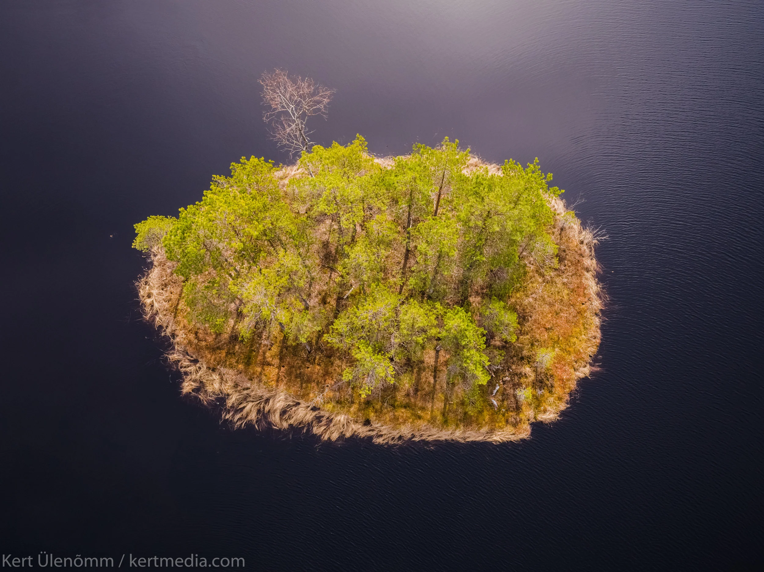 DJI_0083-Edit.jpg