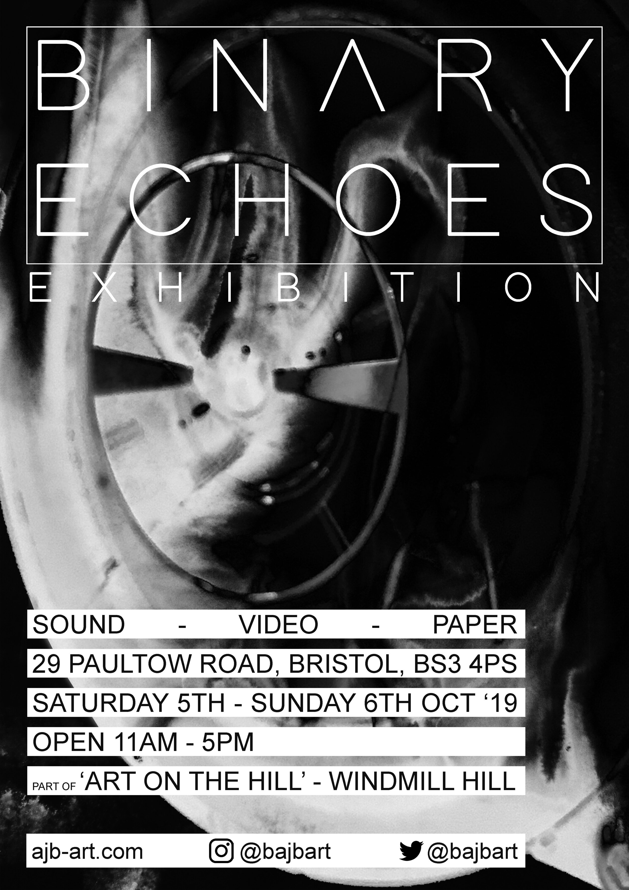 Binary Echoes Poster.jpg