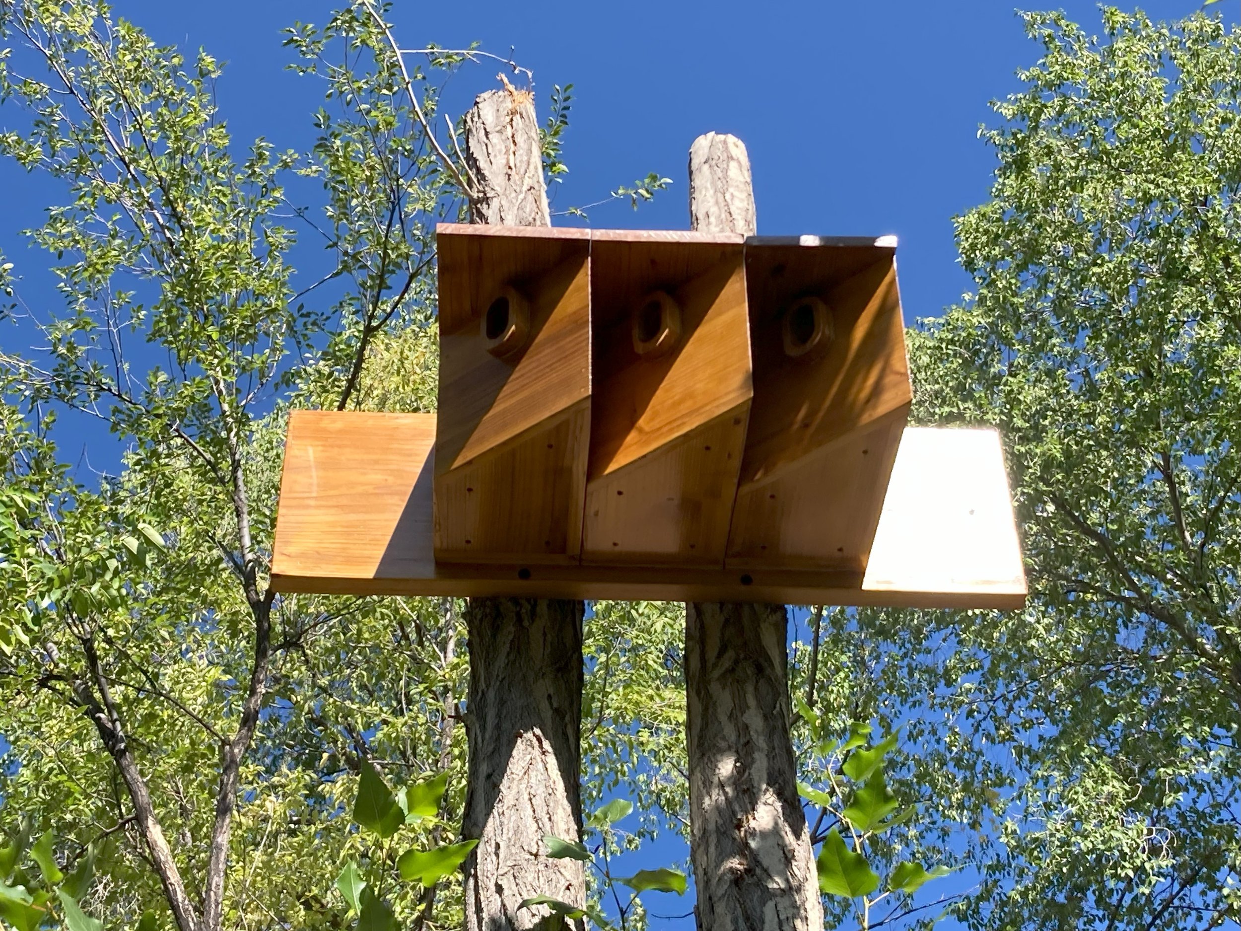 Swallow Colony Birdhouse