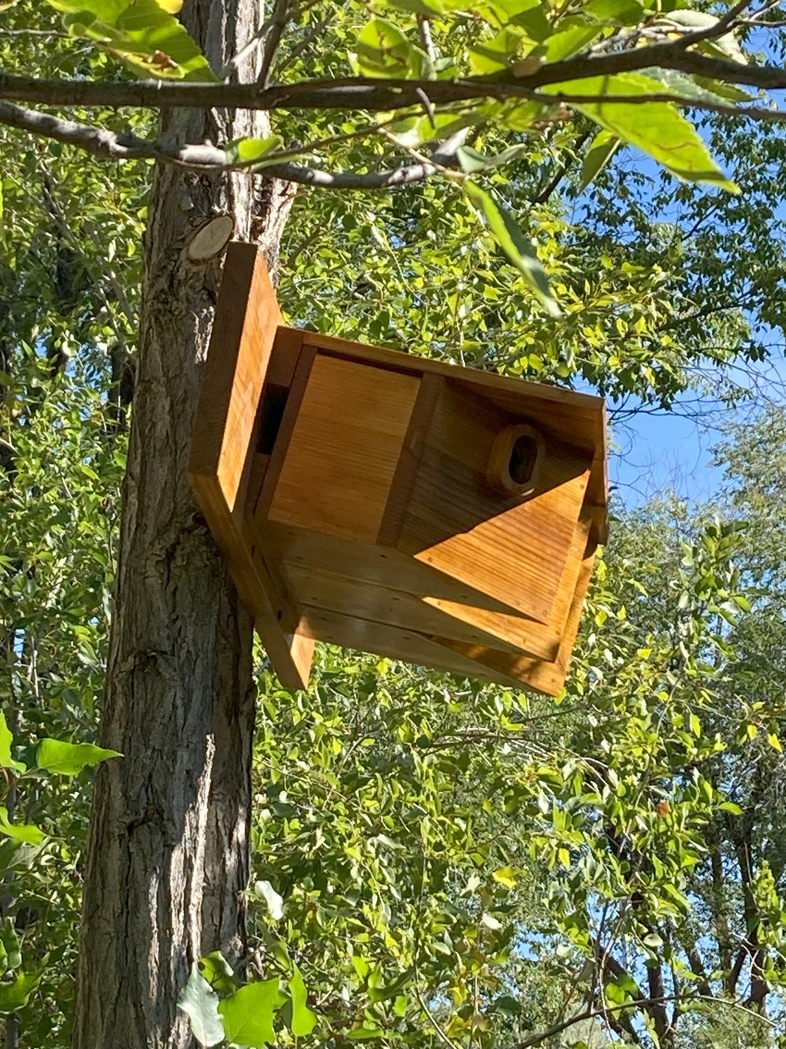 Swallow Colony Birdhouse
