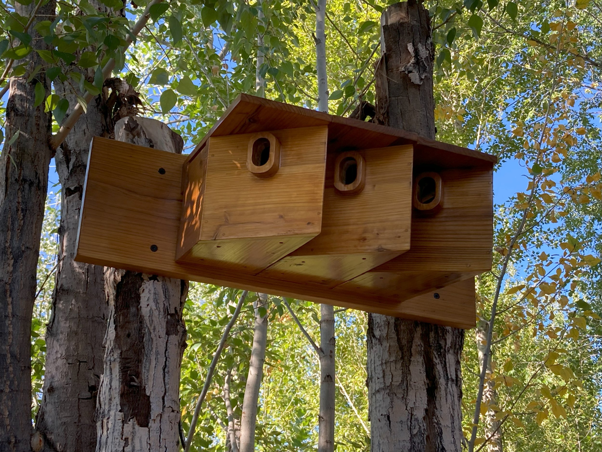Swallow Colony Birdhouse