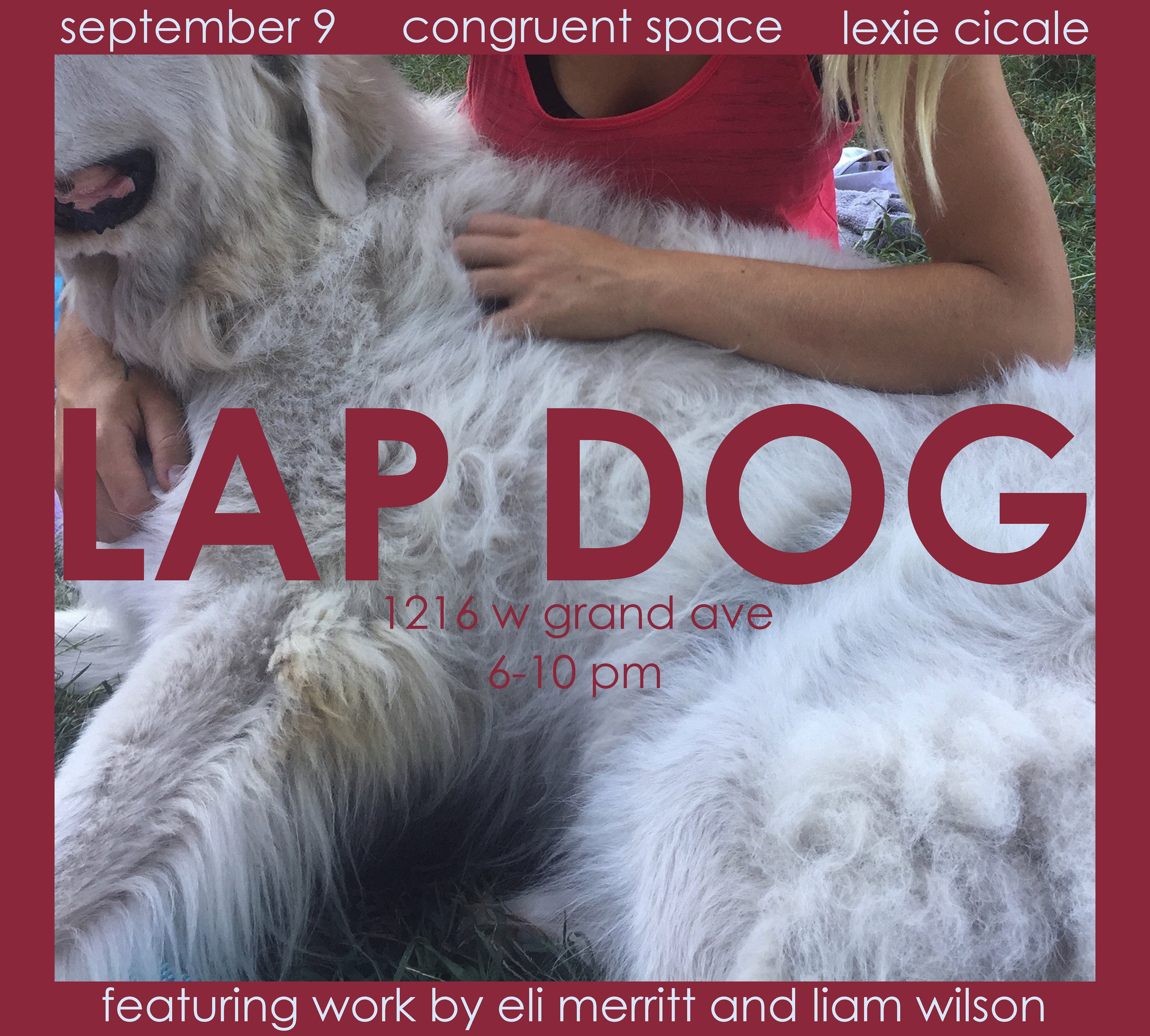 LAP DOG 