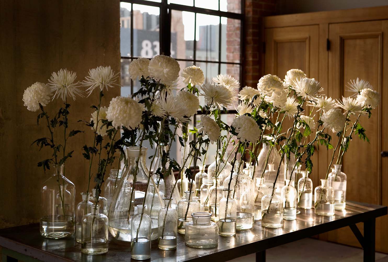 christina's chrysanthemums