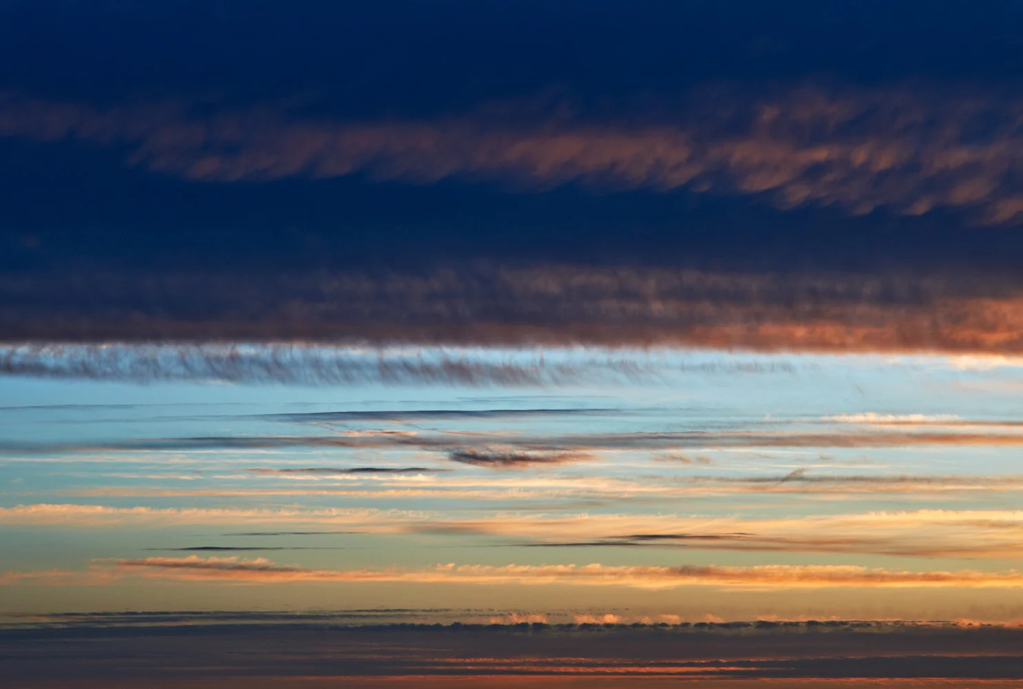may evening #4