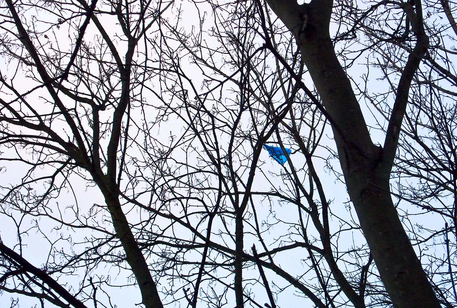 blue carrier bag