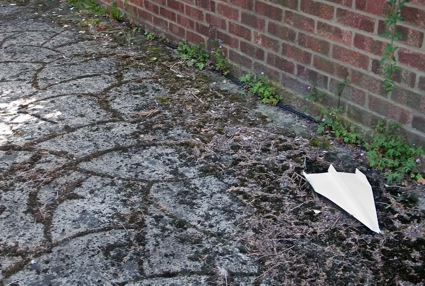 paper plane
