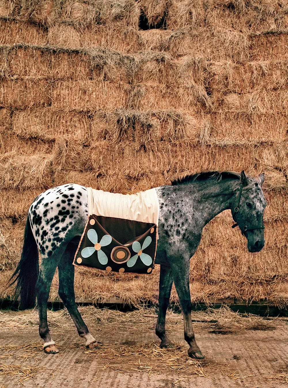 horse and haystack•world of interiors