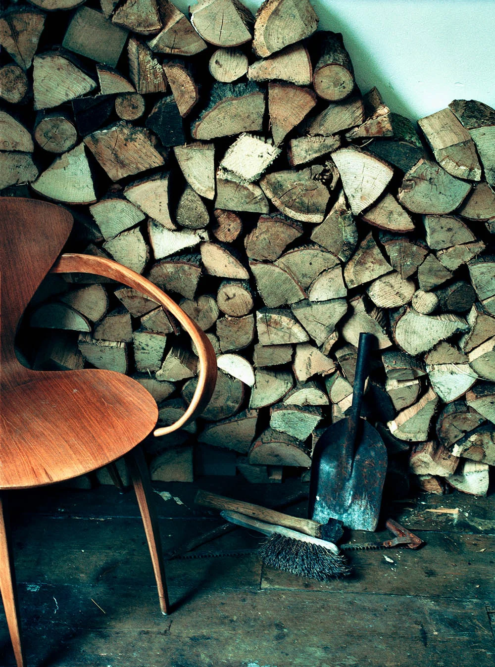 ann shore•world of interiors