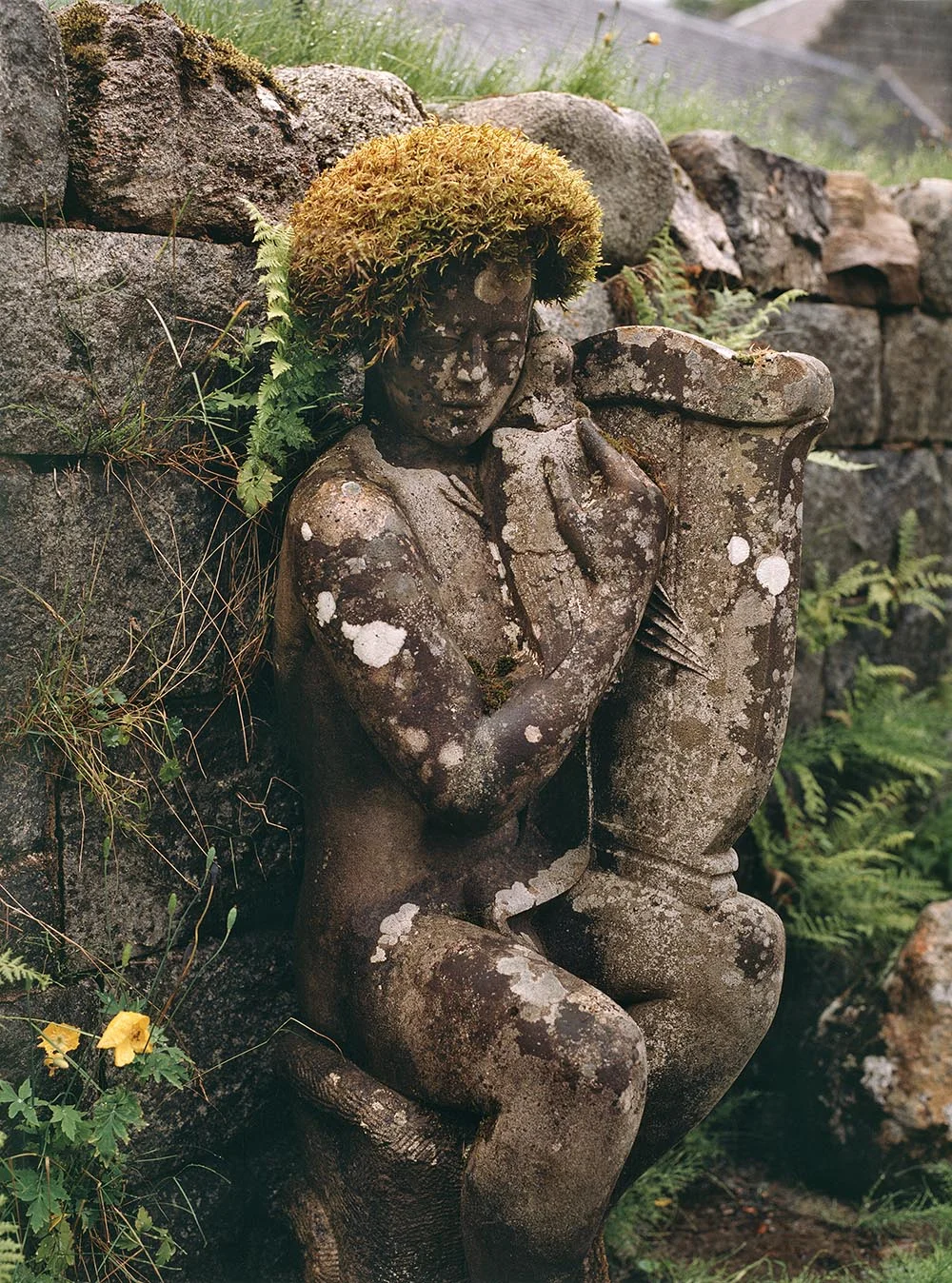 jinny blom•world of interiors