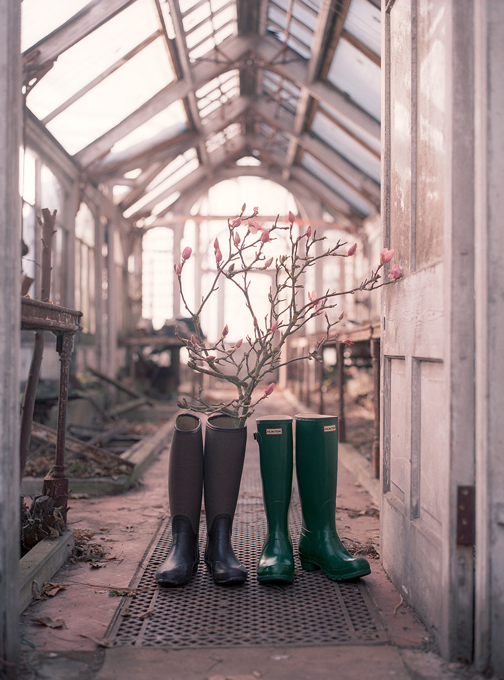  wellingtons•fortnum &amp; mason 